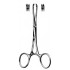 Chaput Hemostatic Fcps 13cm