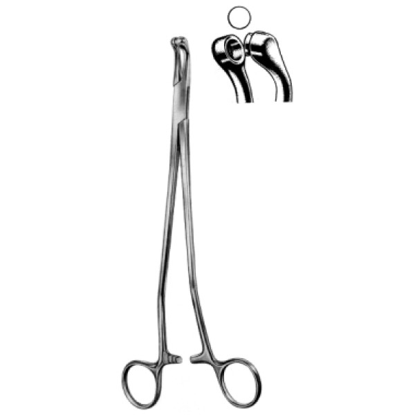 Thomas Gaylor Cervical Biopsy Fcps 24cm