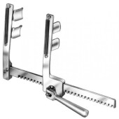 Thoracic & Lung Surgery