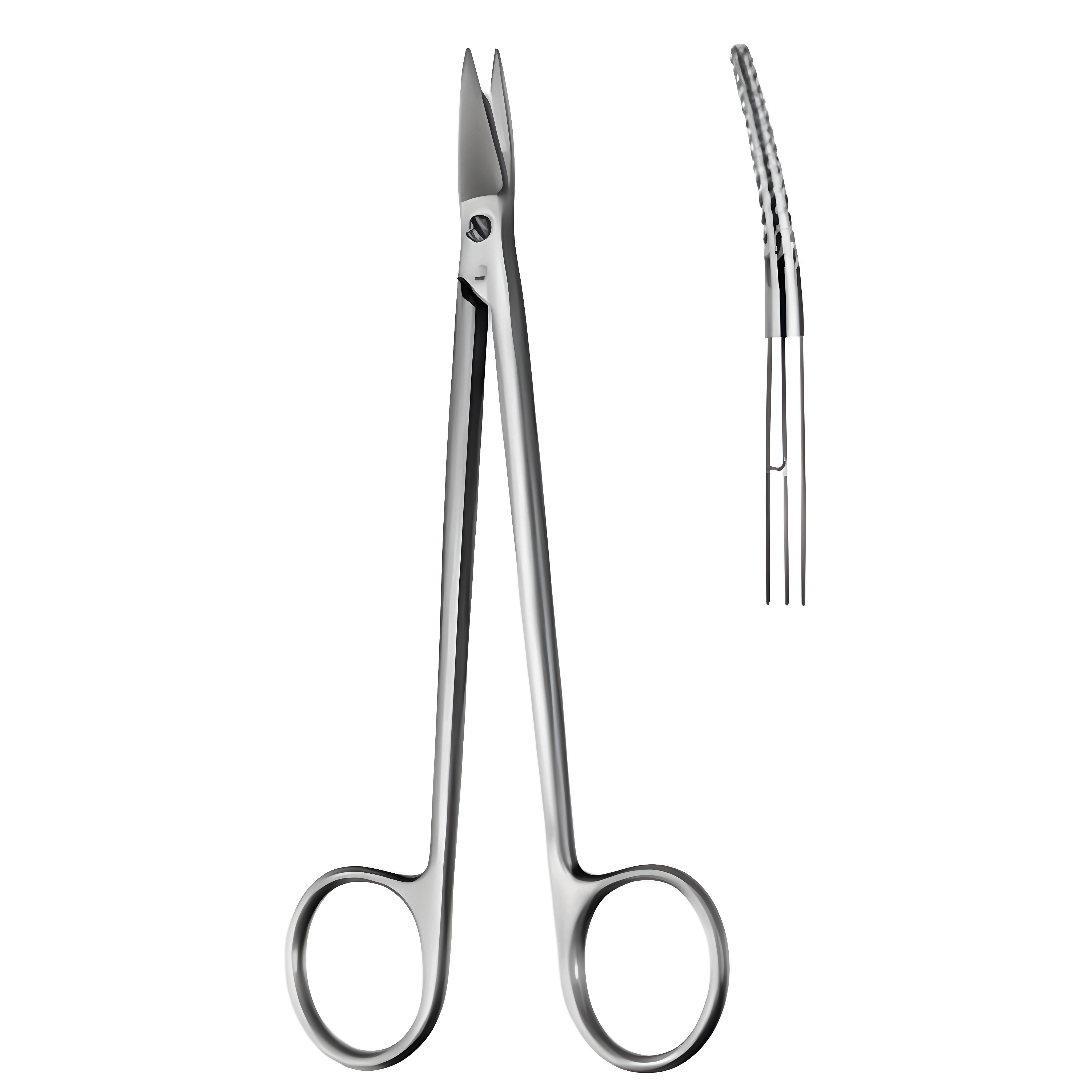 QUINBY Gum Scissors cvd 12cm