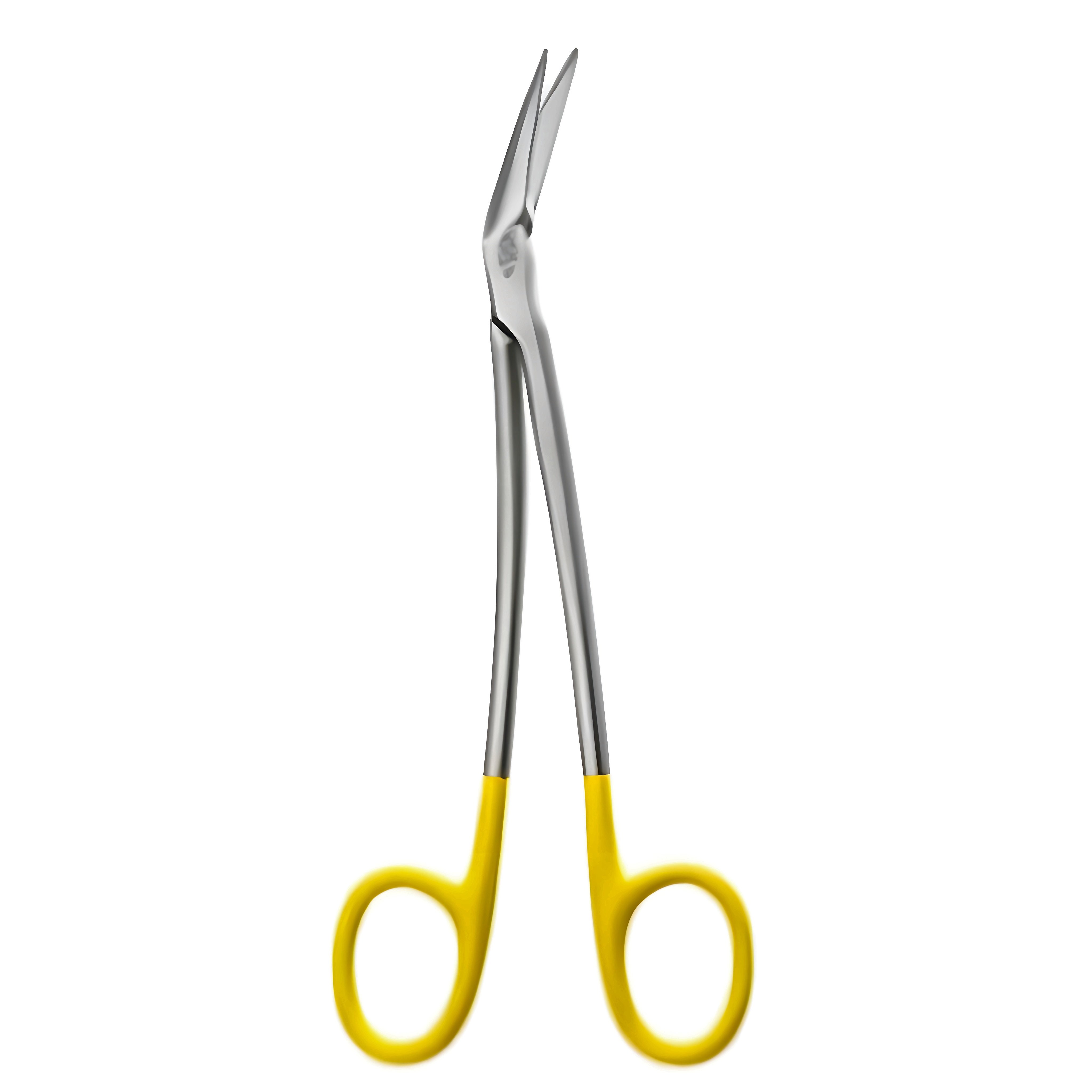 Locklin Gum Scissors angled to side 16cm TC