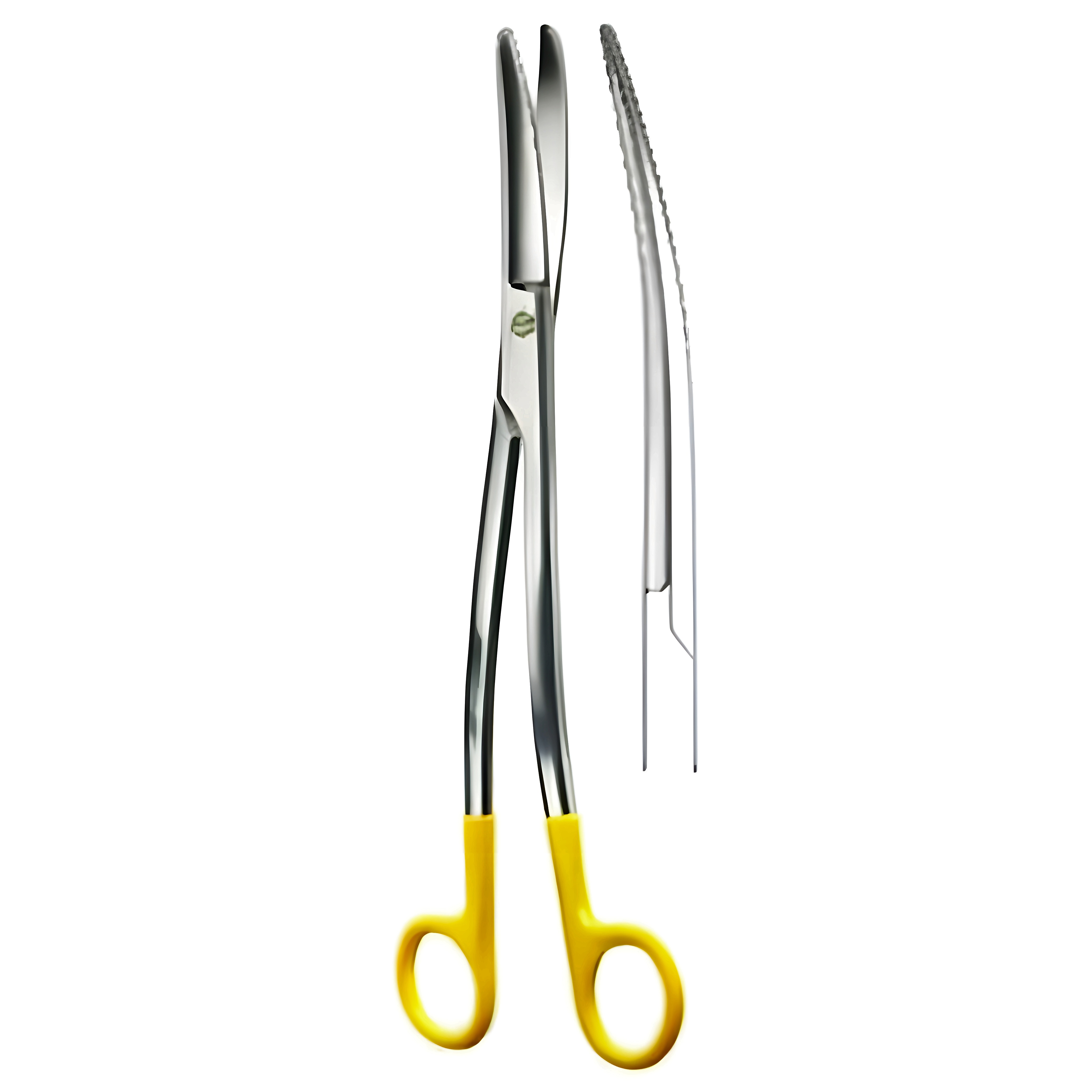 Siebold Gynecological Scissors S/cvd 24cm TC