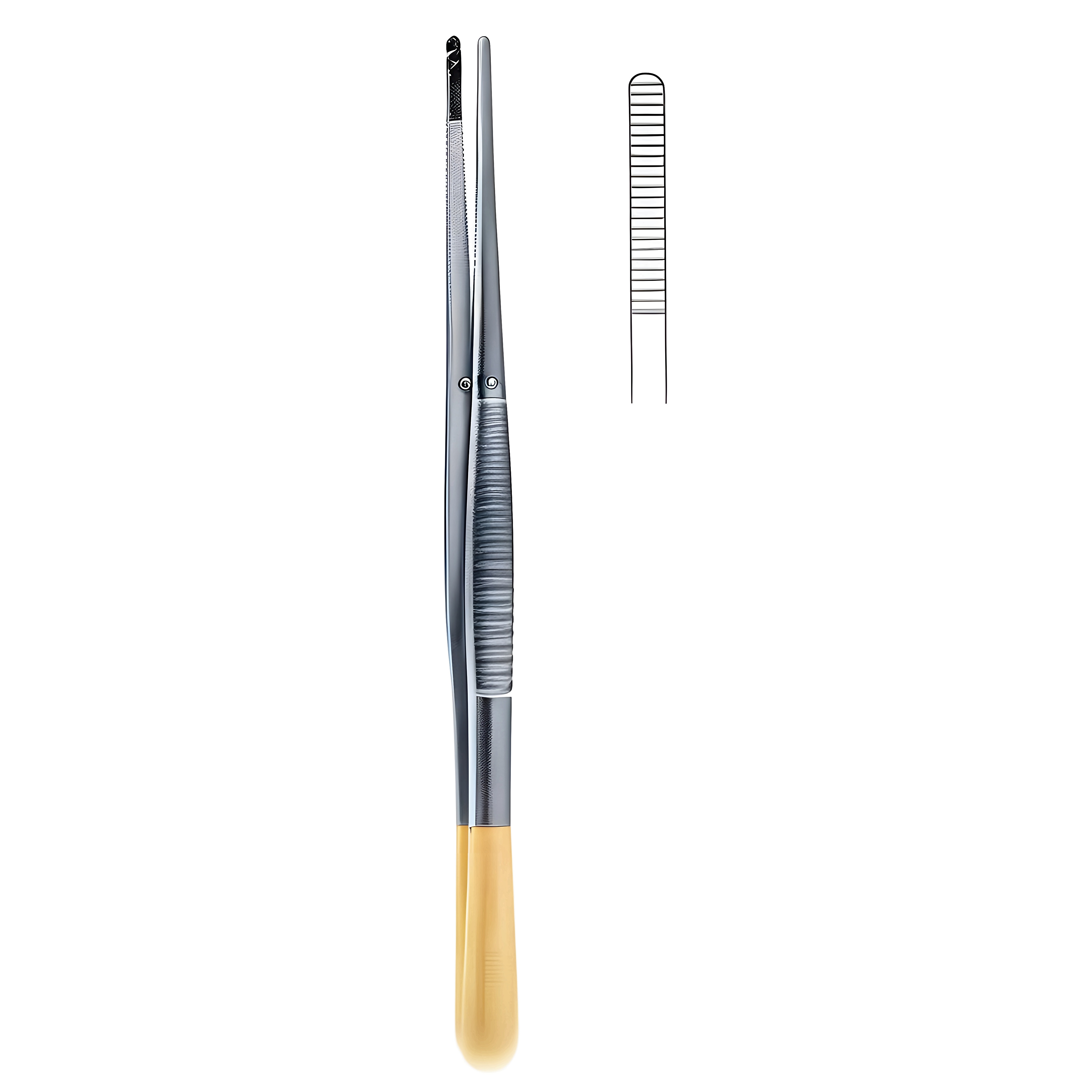 Standard Dressing Fcps 30.0cm TC