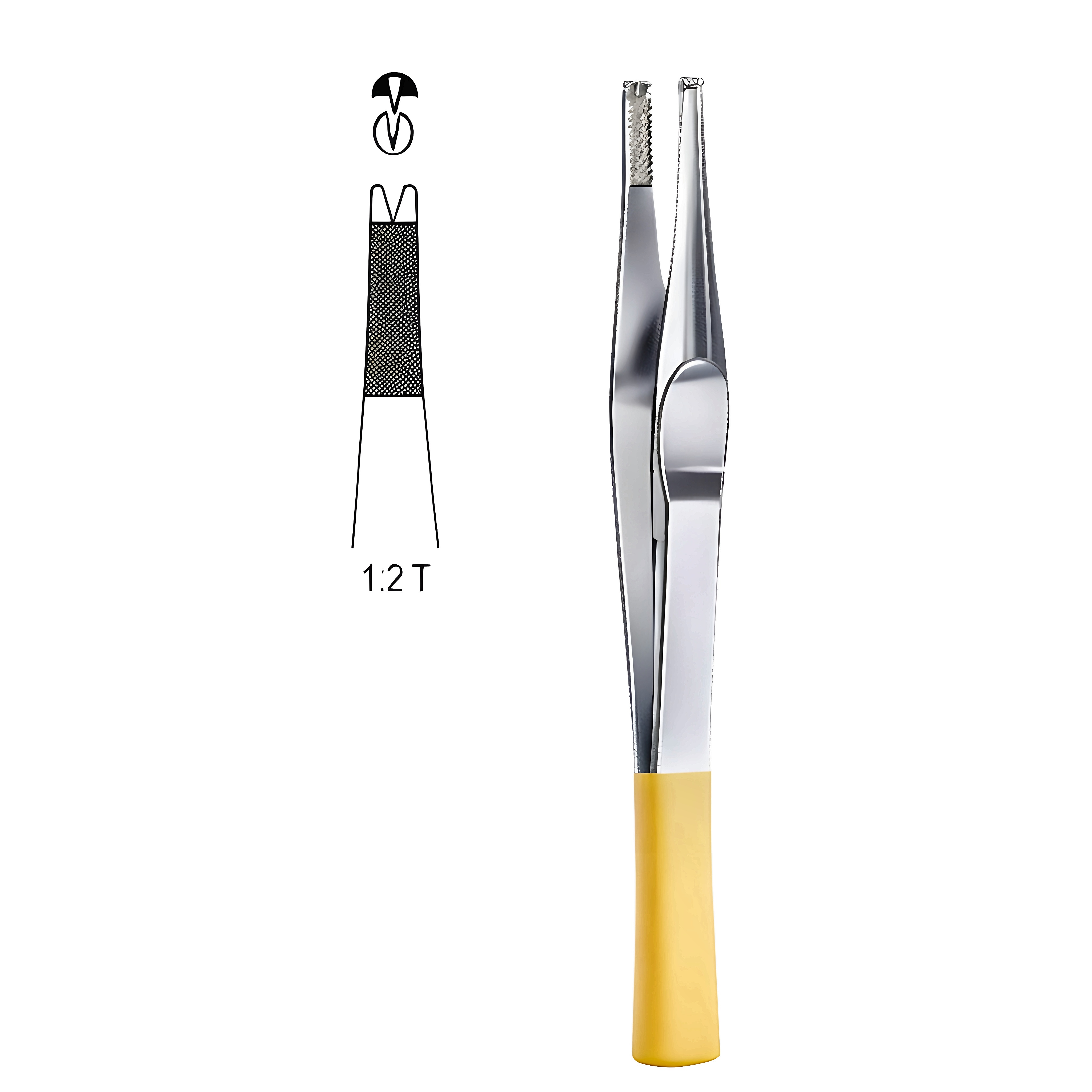 Lane Tissue Fcps 1x2T 12.5cm TC