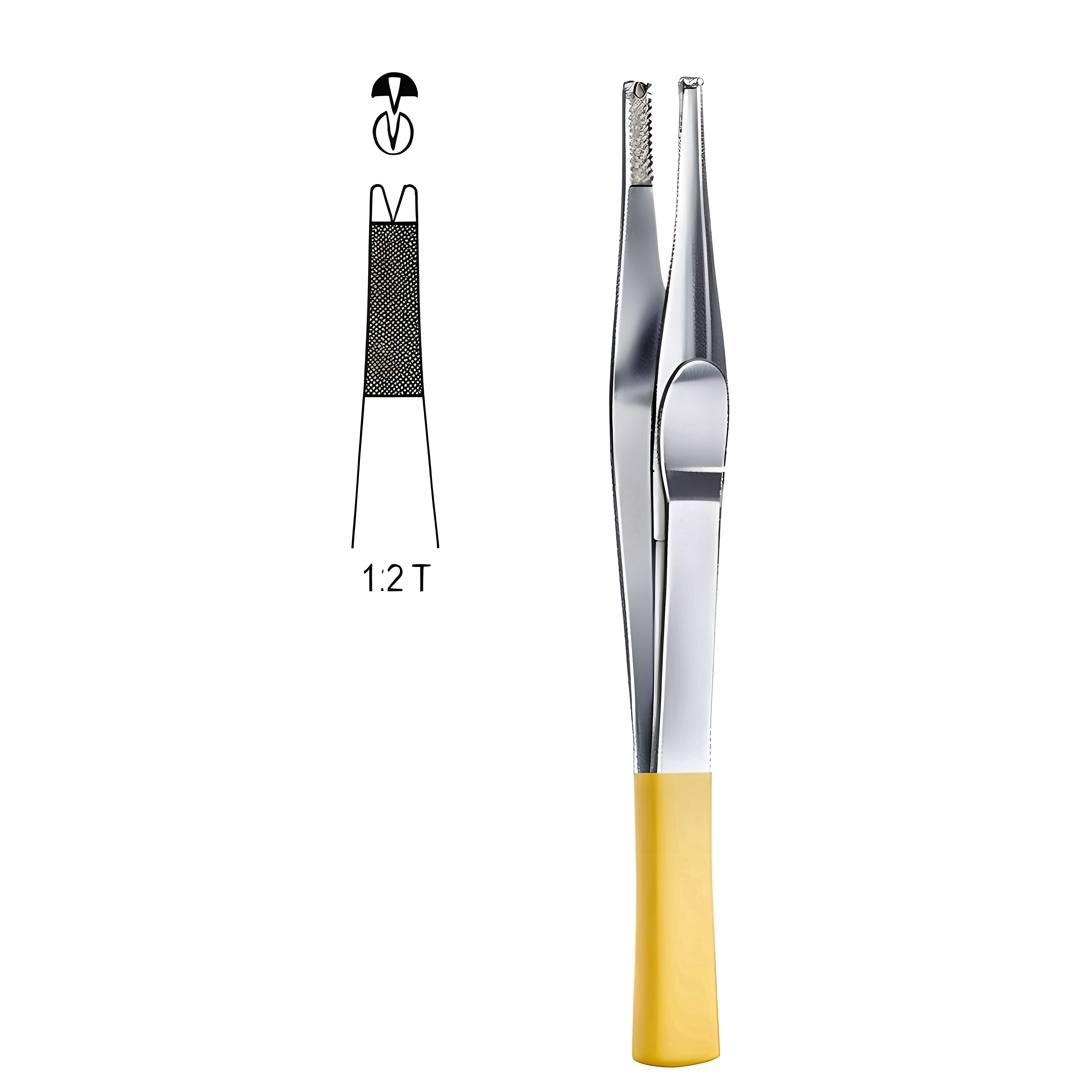 Lane Tissue Fcps 1x2T 18cm TC