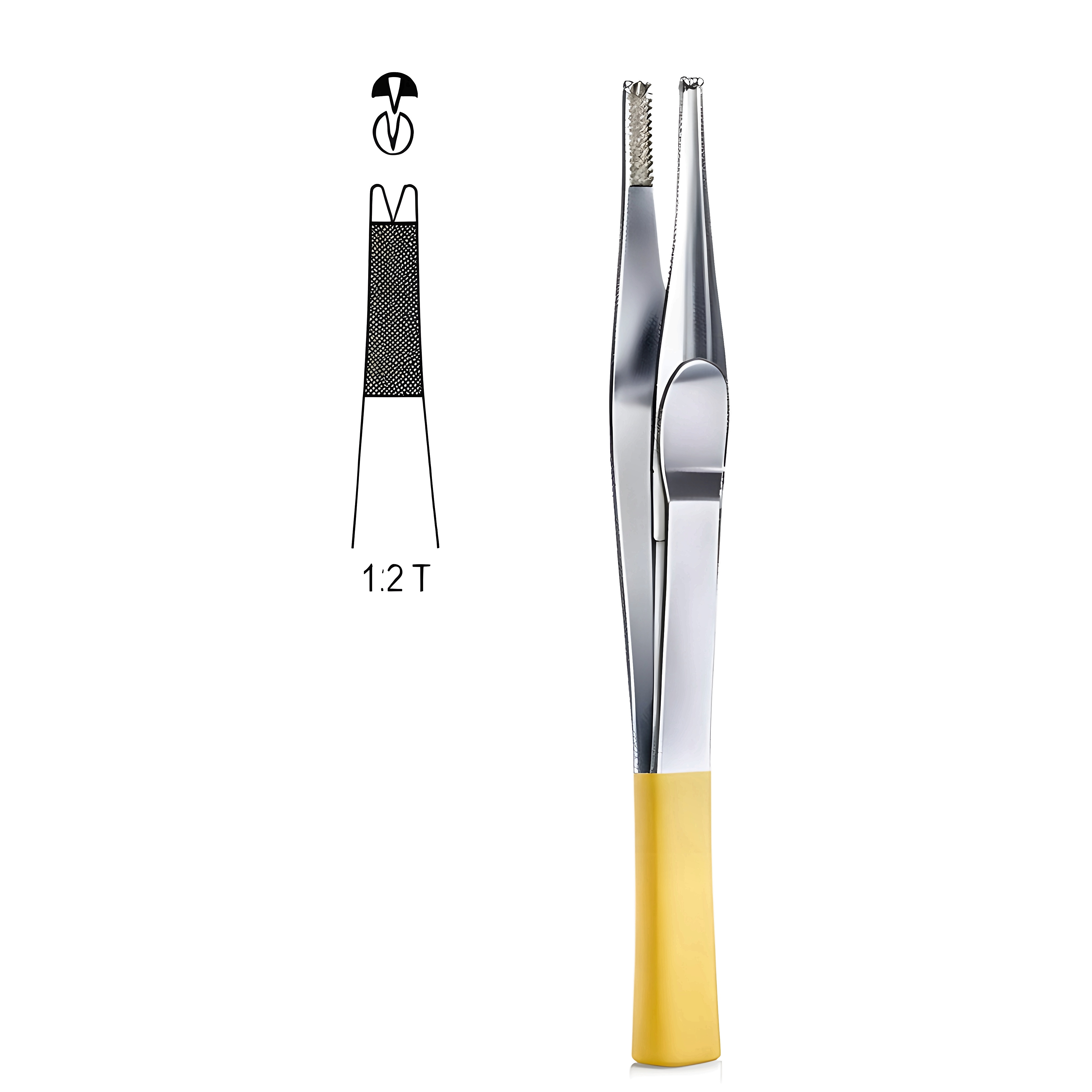 Lane Tissue Fcps 1x2T 20cm TC