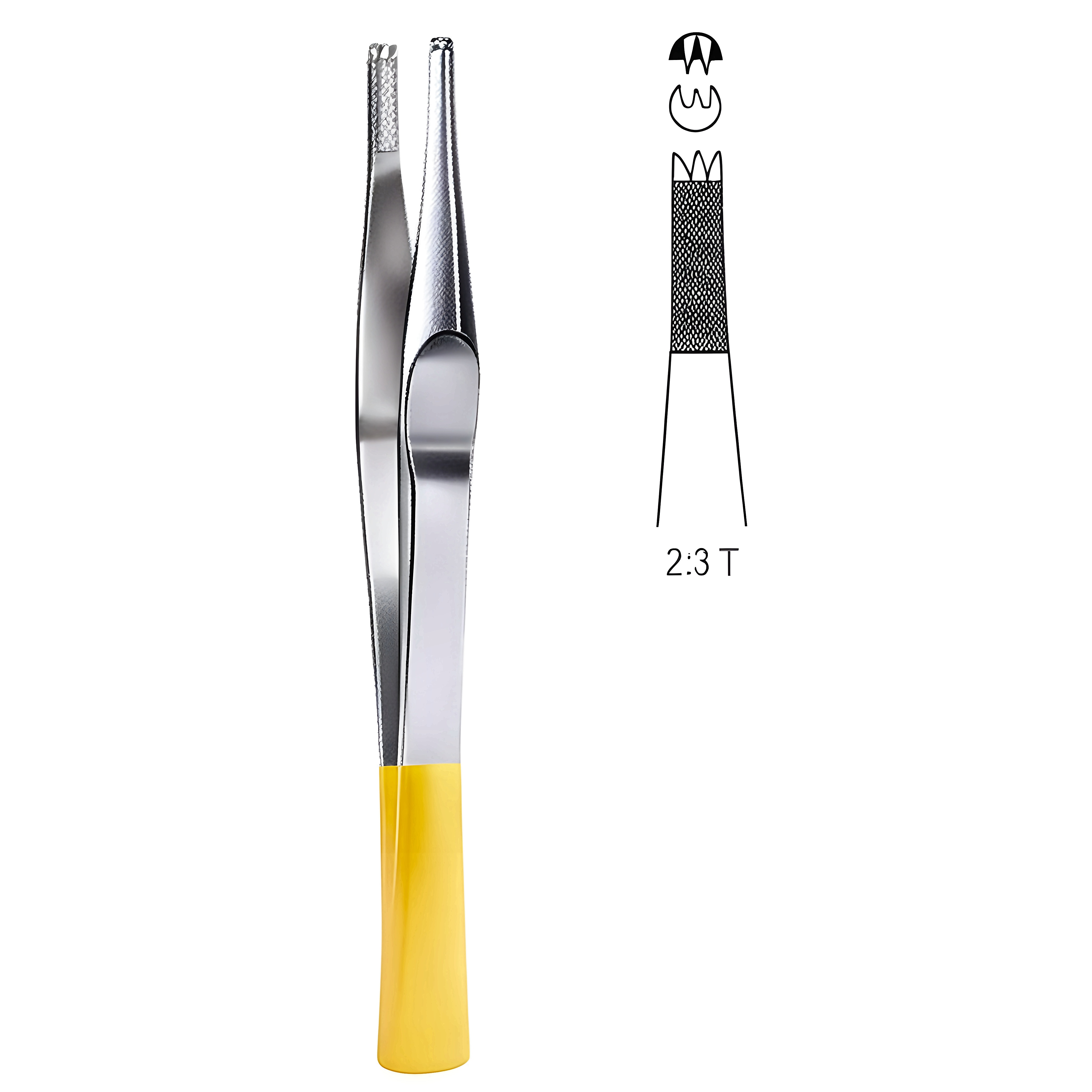Lane Tissue Fcps 2x3T 12.5cm TC