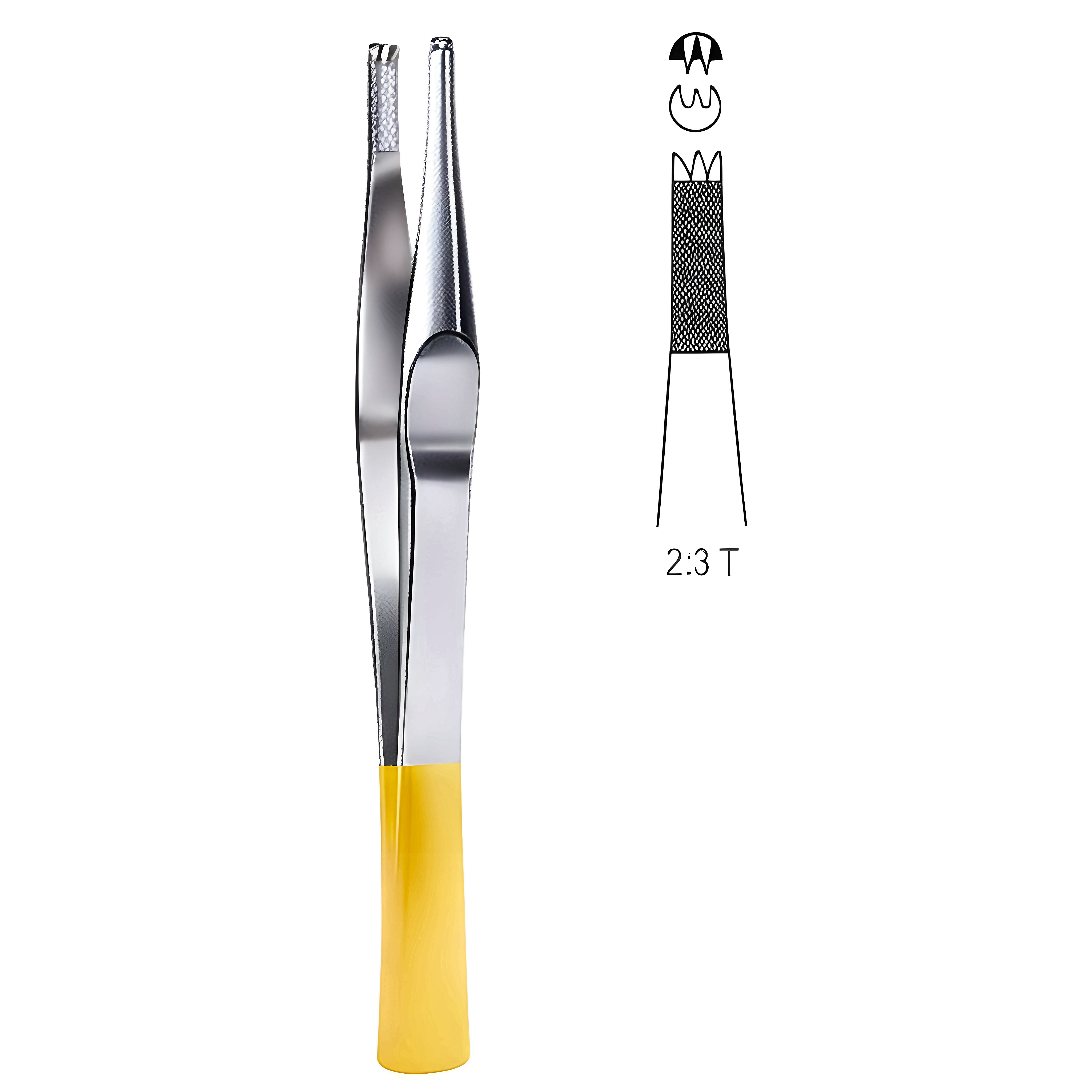 Lane Tissue Fcps 2x3T 15.5cm TC