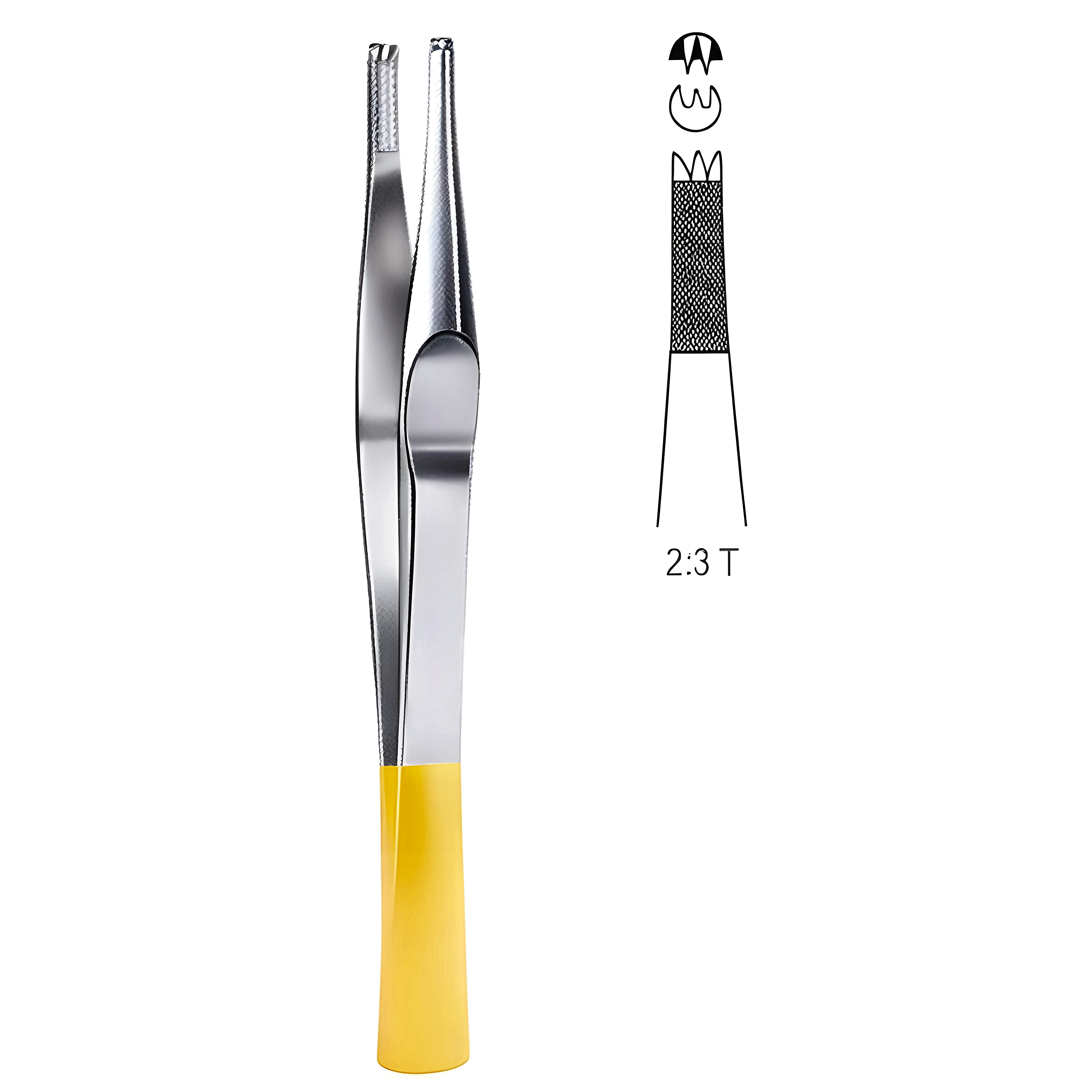 Lane Tissue Fcps 2x3T 18cm TC