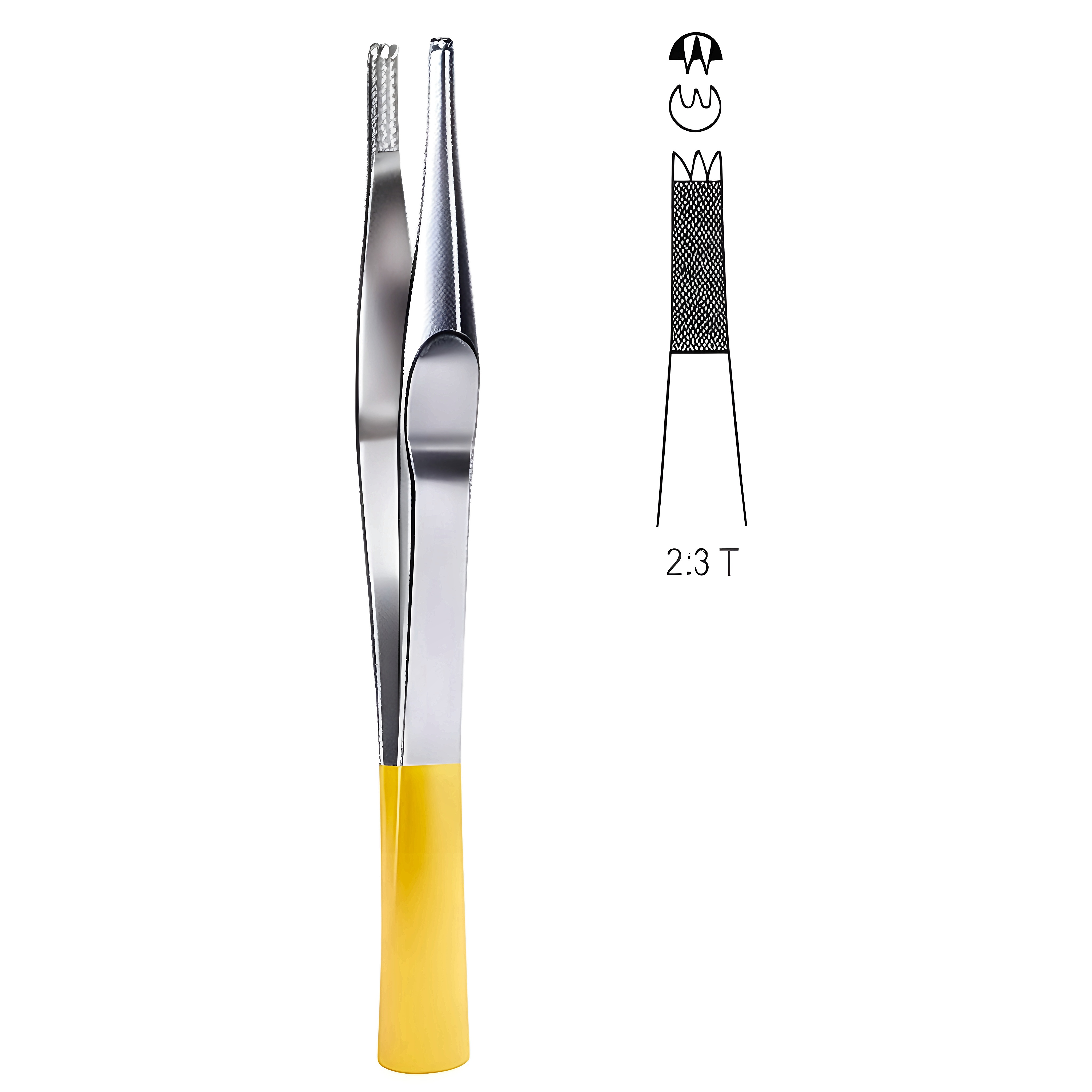 Lane Tissue Fcps 2x3T 20cm TC