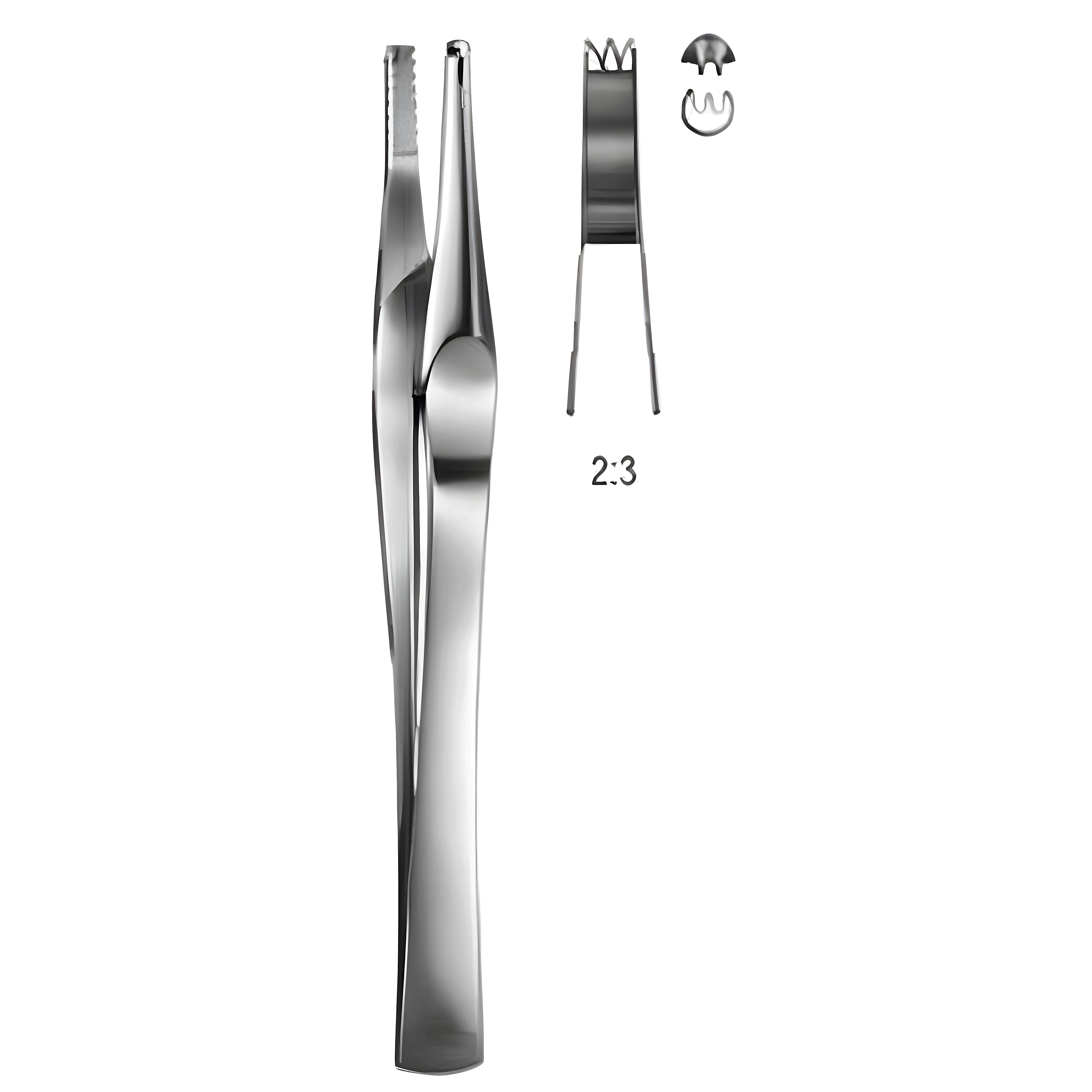 Lanes Tissue Fcps 2x3T 12.5cm