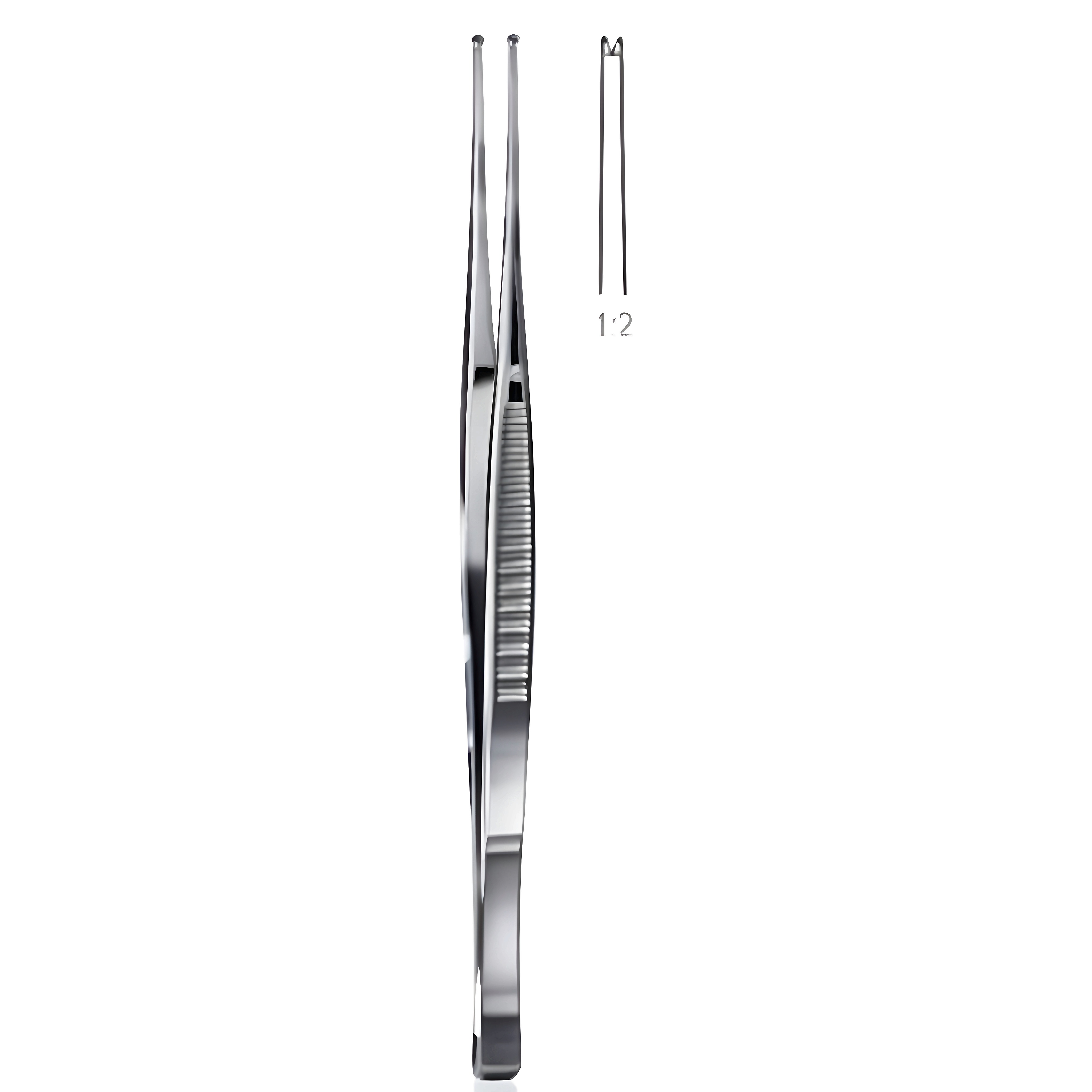 Taylor Tissue Fcps str 1x2T w/chisel end 17cm