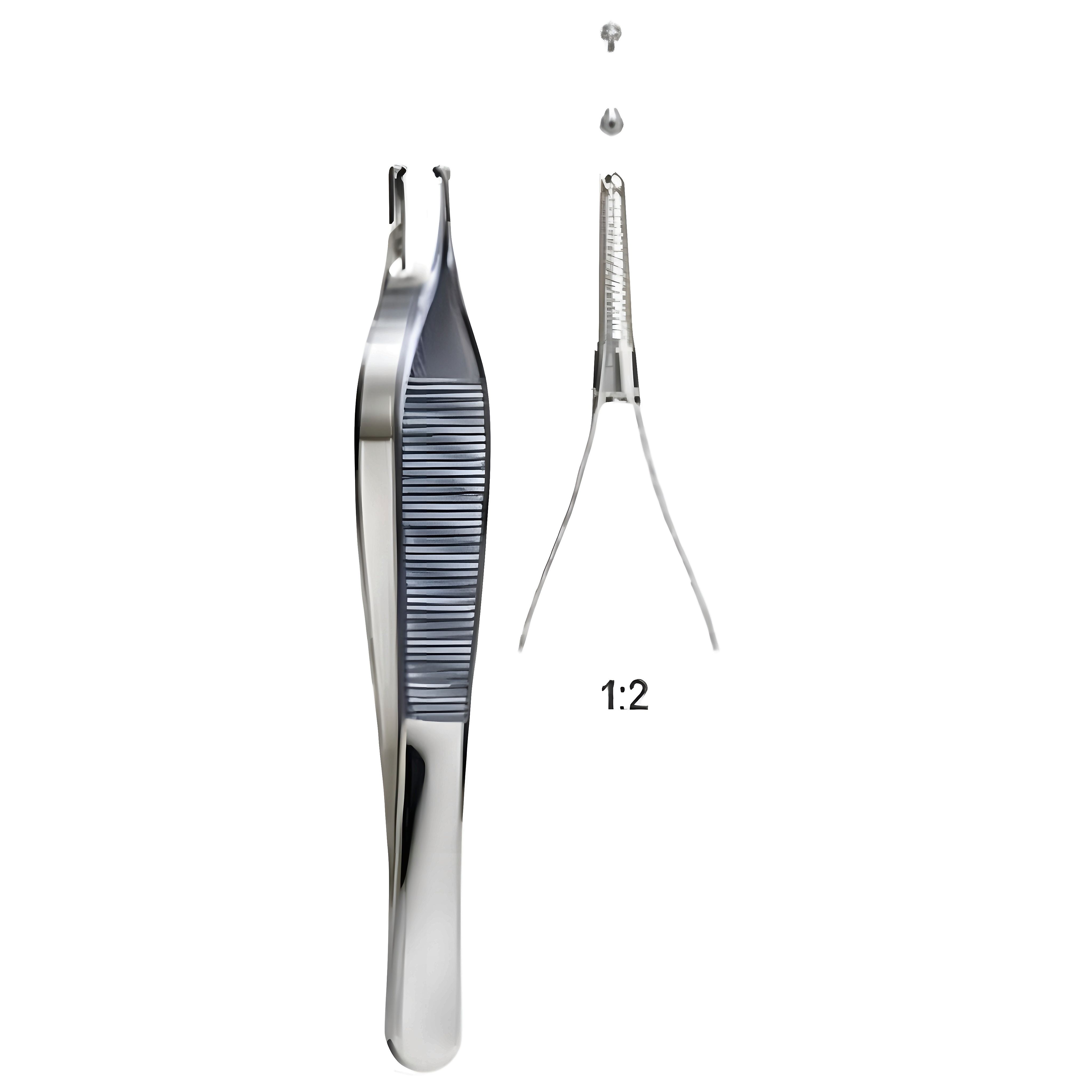 Adson Tissue Fcps 1x2T, w/ cross serr 12cm