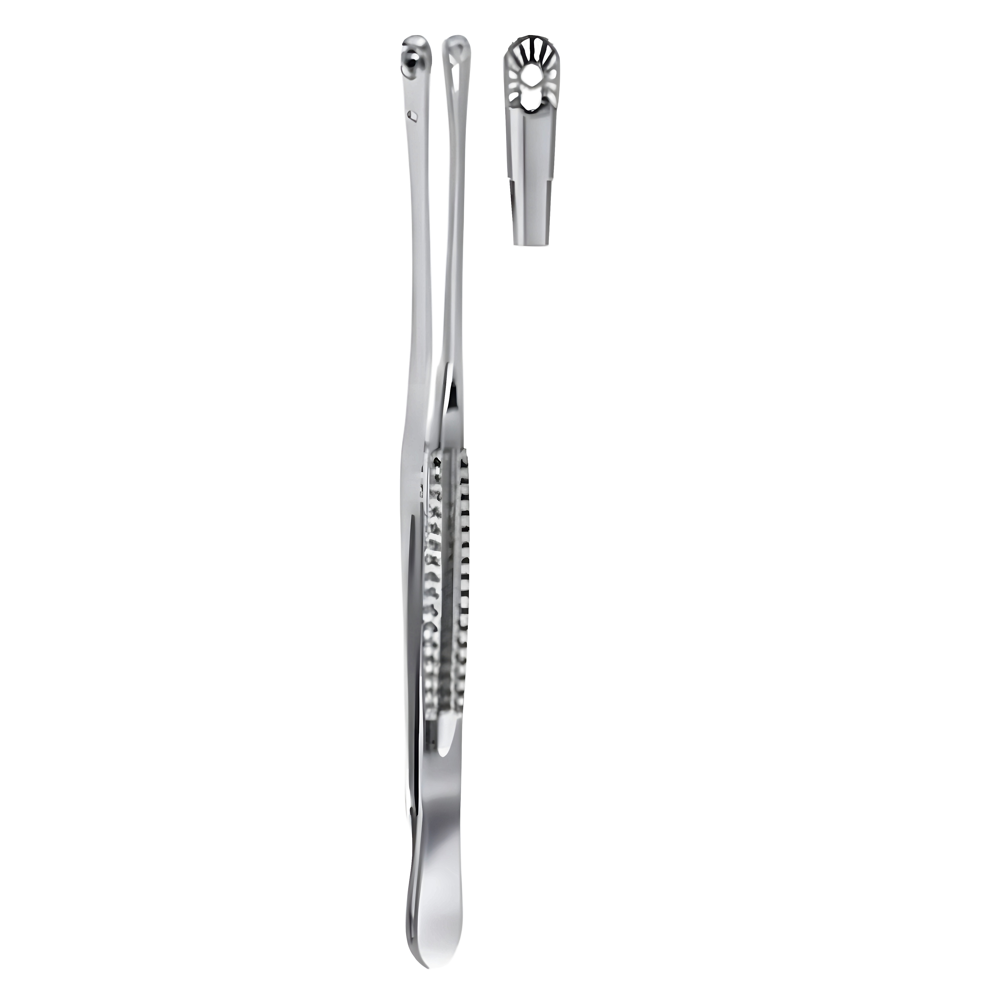 Mayo Russian Tissue Fcps 23cm
