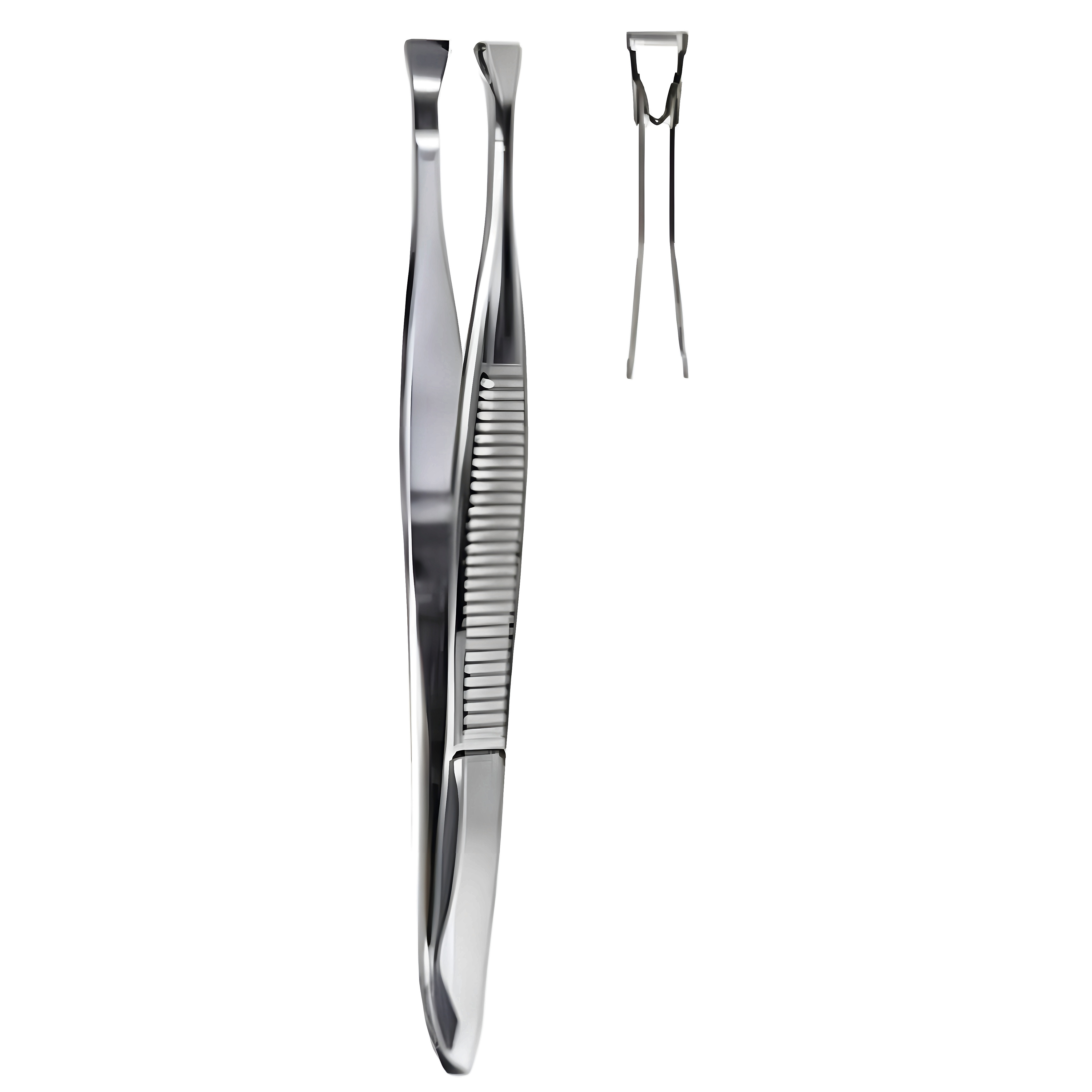 Littauer Cilia Fcps 8.5cm