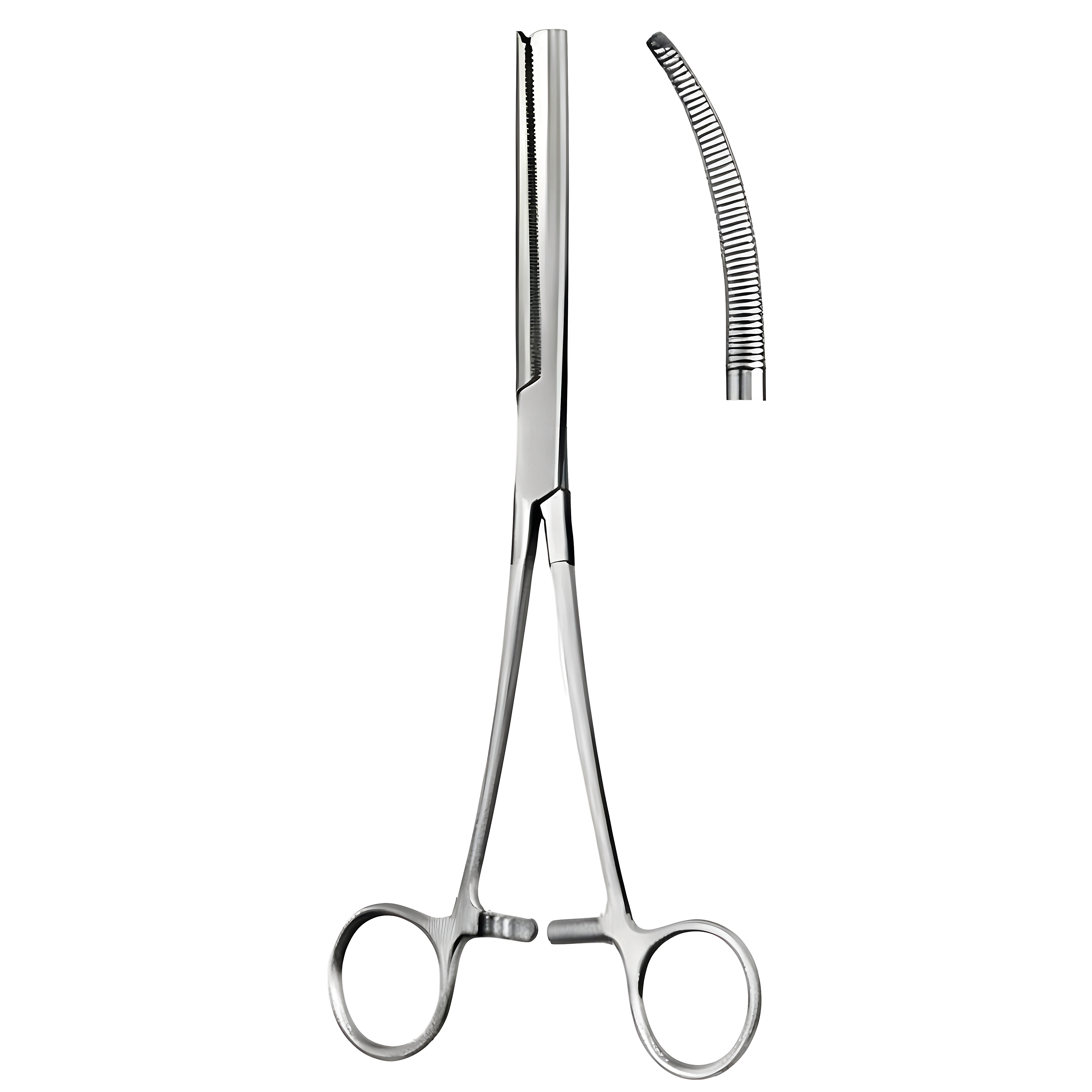Rochester Ochsner Fcps cvd 22cm
