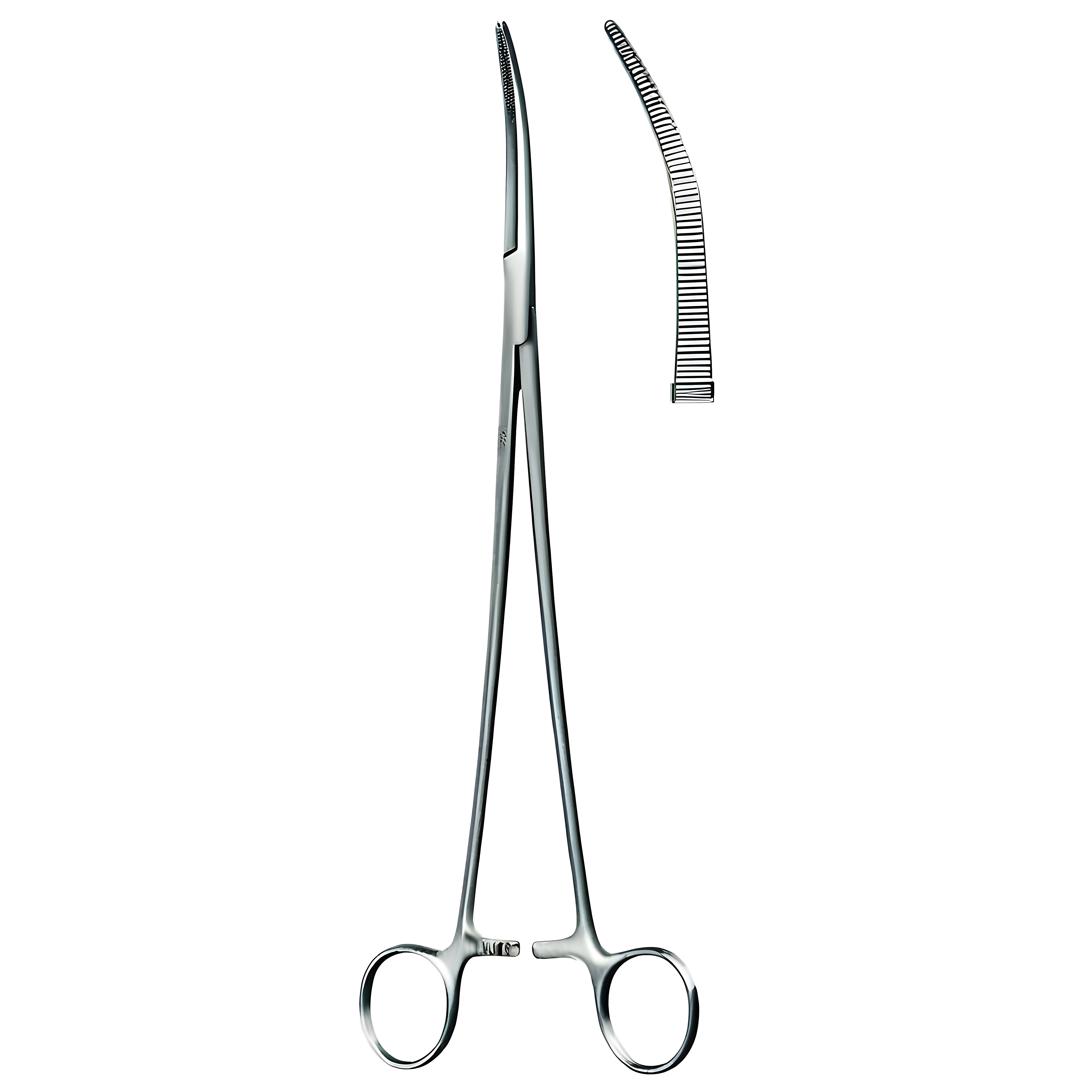 Zenker Bronchus Fcps slight cvd 29.5cm