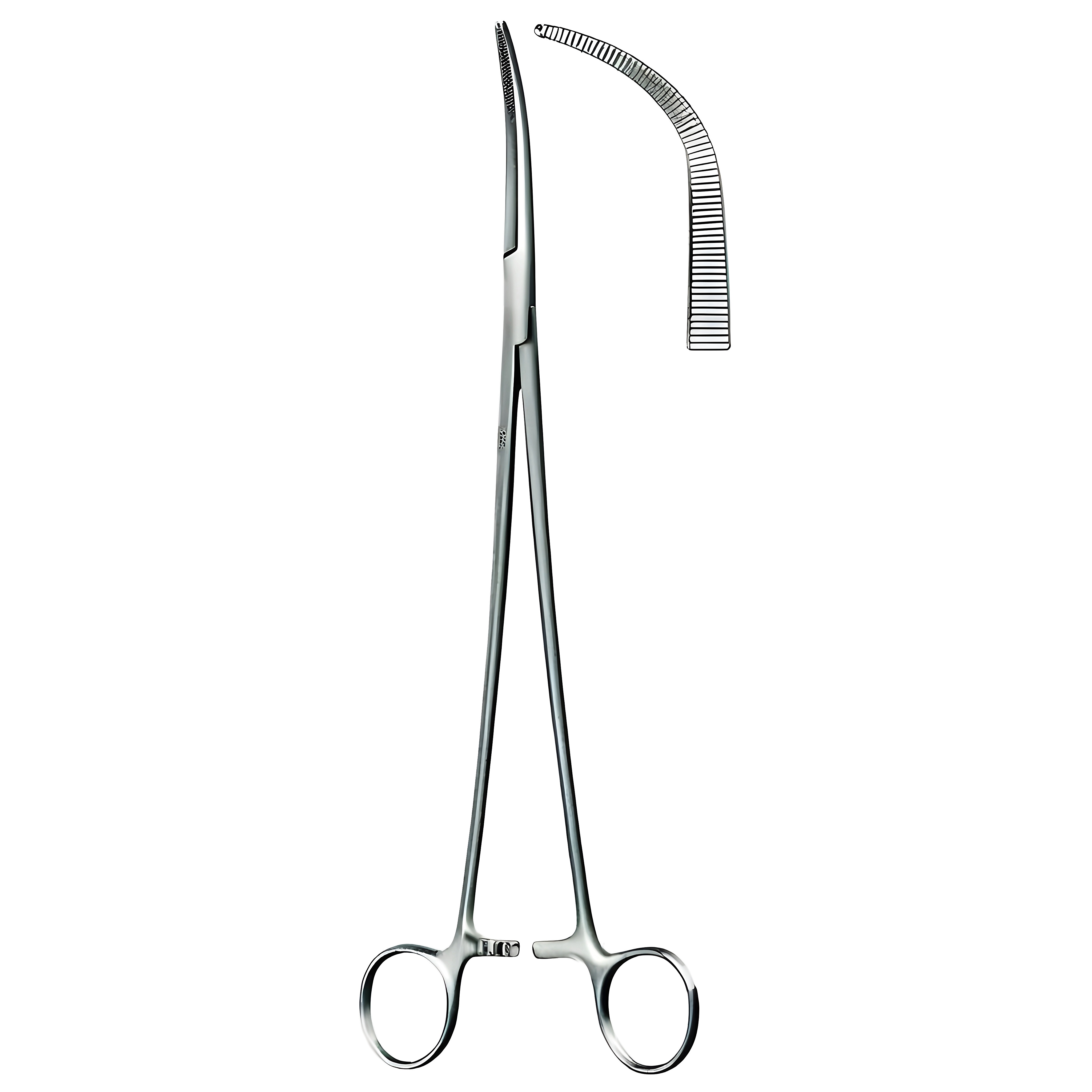 Zenker Bronchus Fcps full cvd 29.5cm