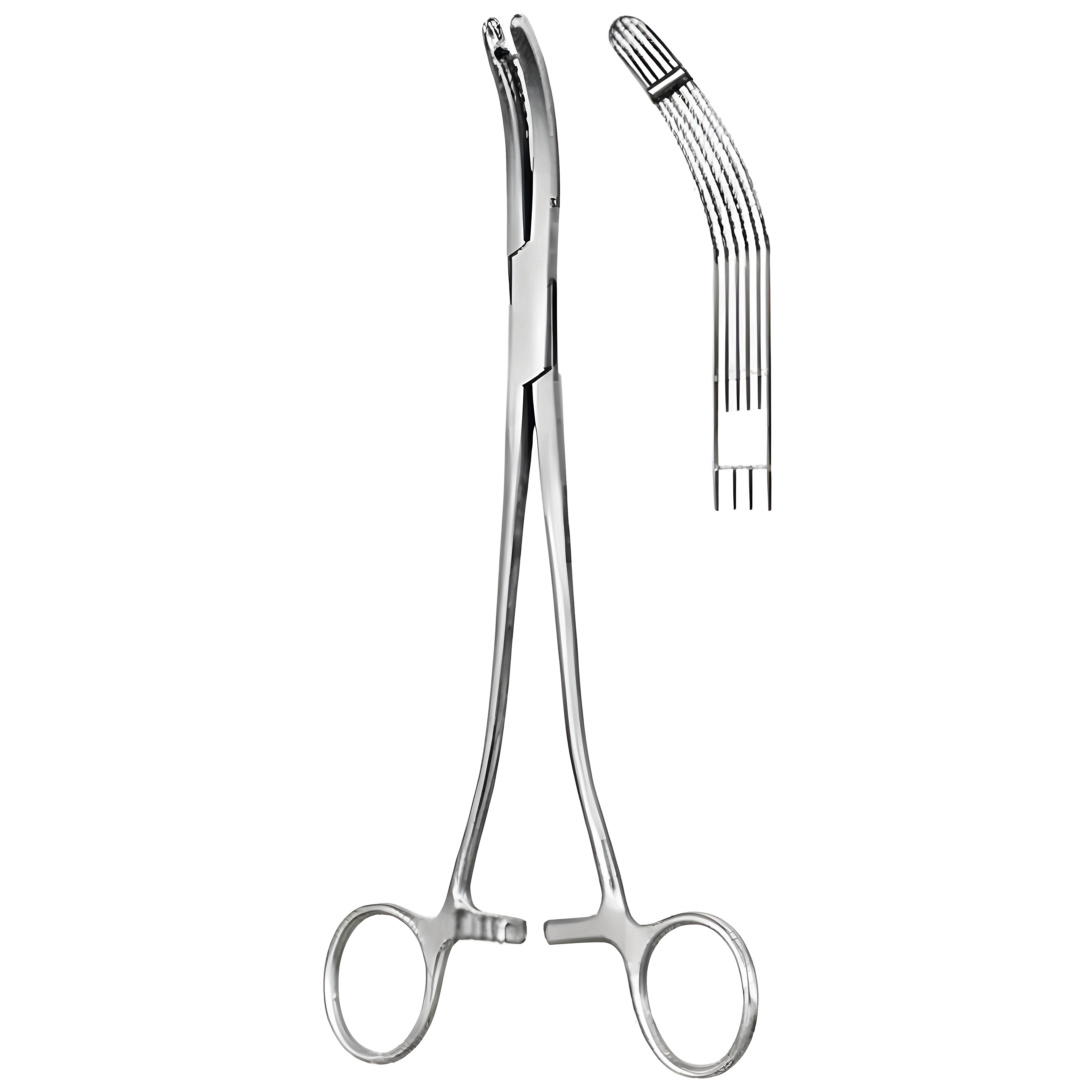 Heaney Ballentine Hyst. Fcps cvd 1 Tooth 21cm