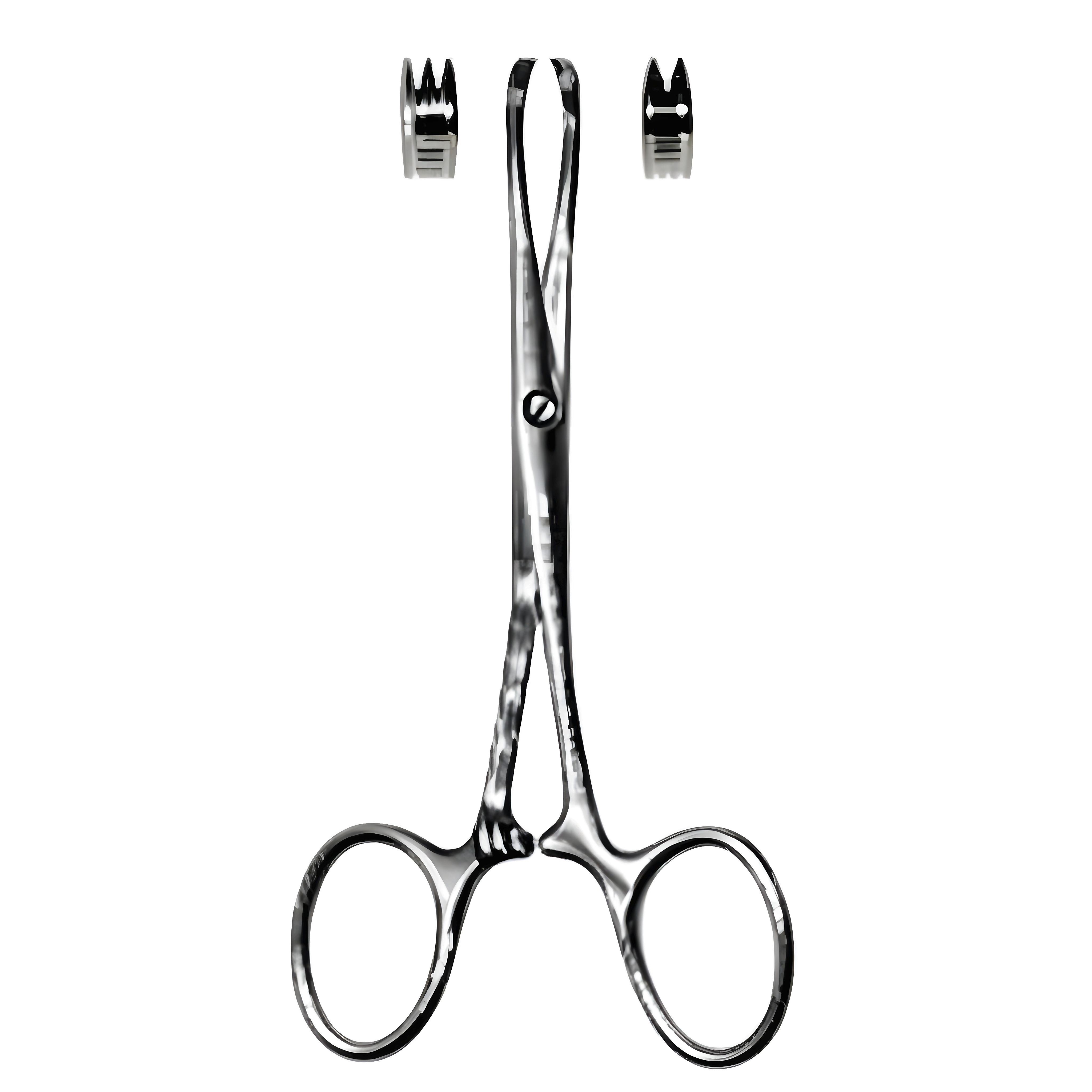 Chaput Hemostatic Fcps 13cm