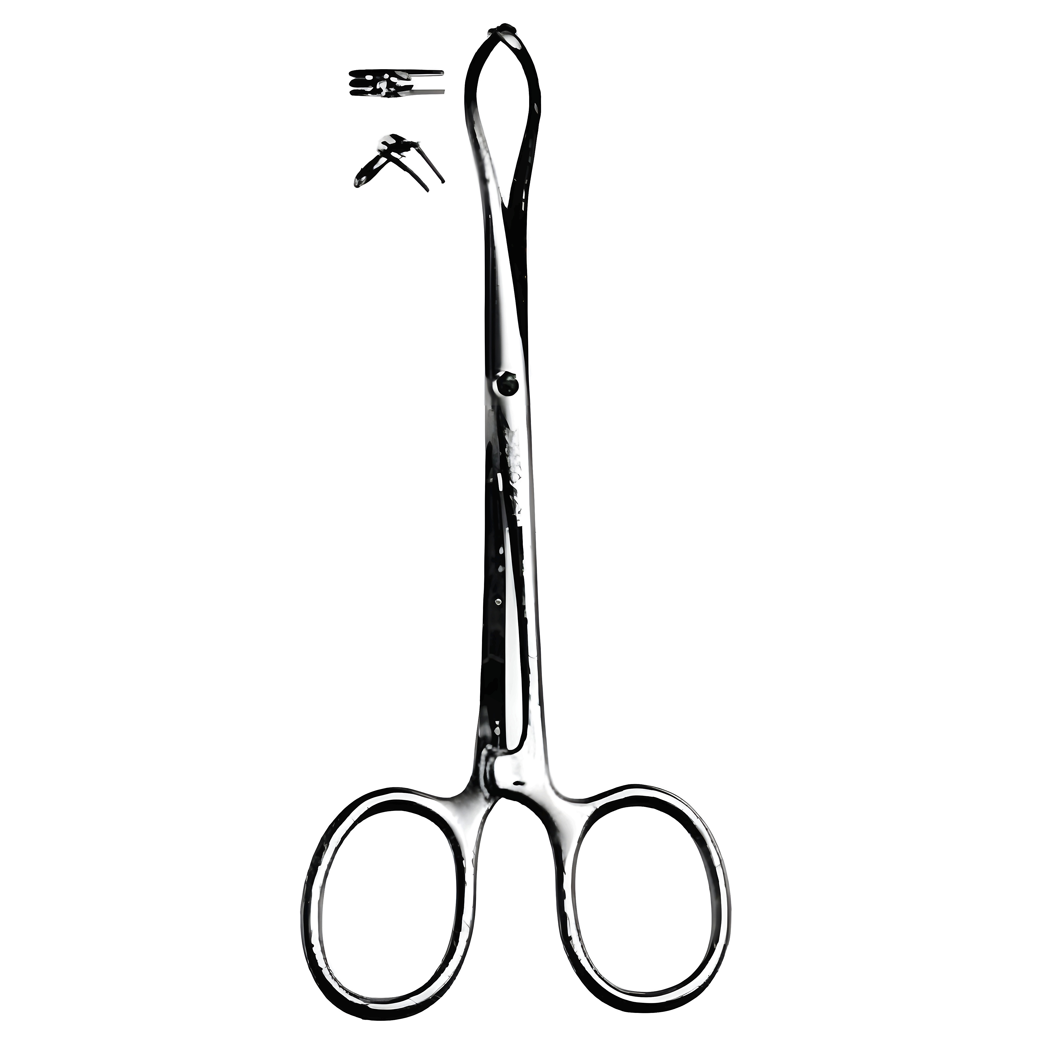 Porrier Tissue Fcps 2x3T, 12.5cm