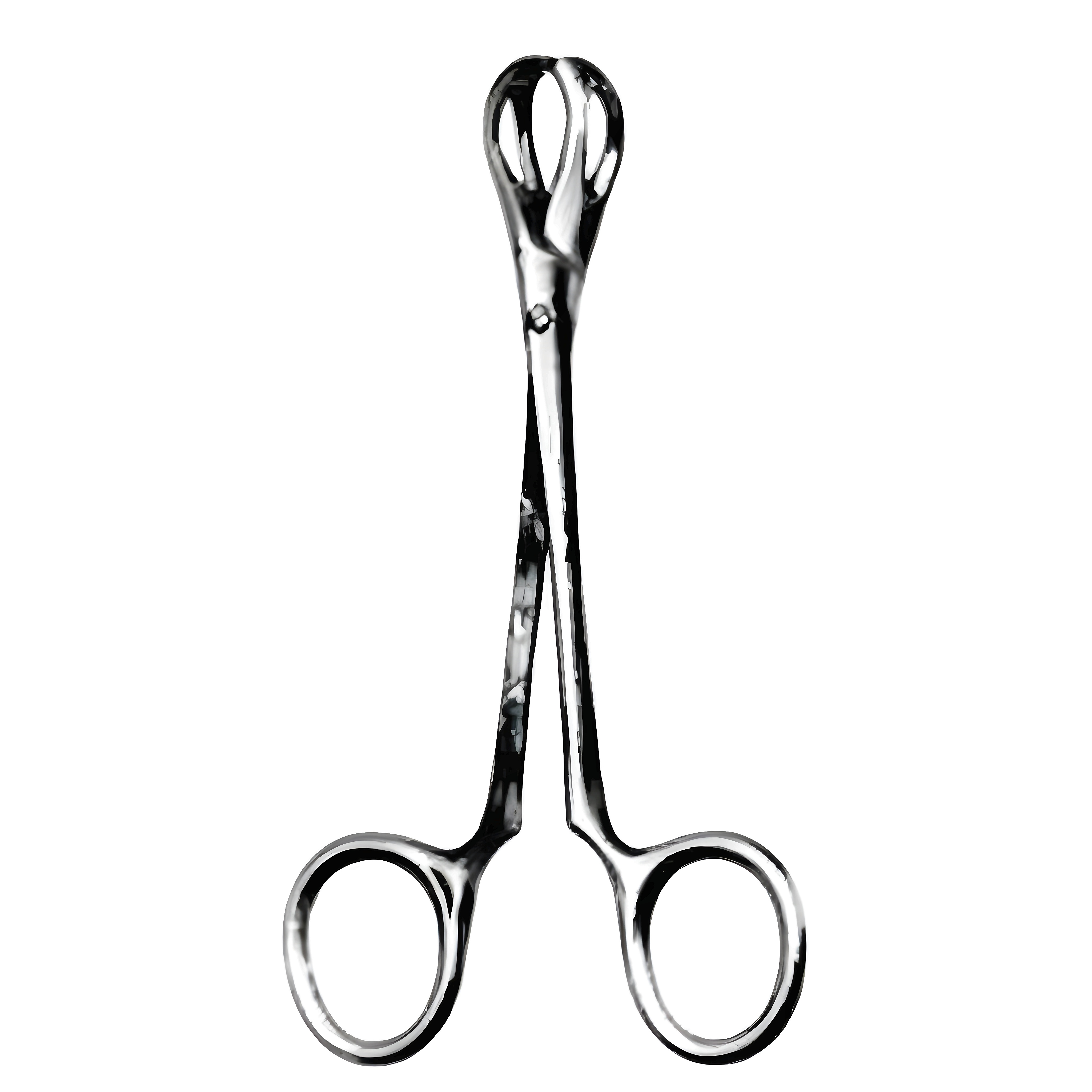 Lane Tissue Fcps 1x2T S/J 12.5cm Fenestrated