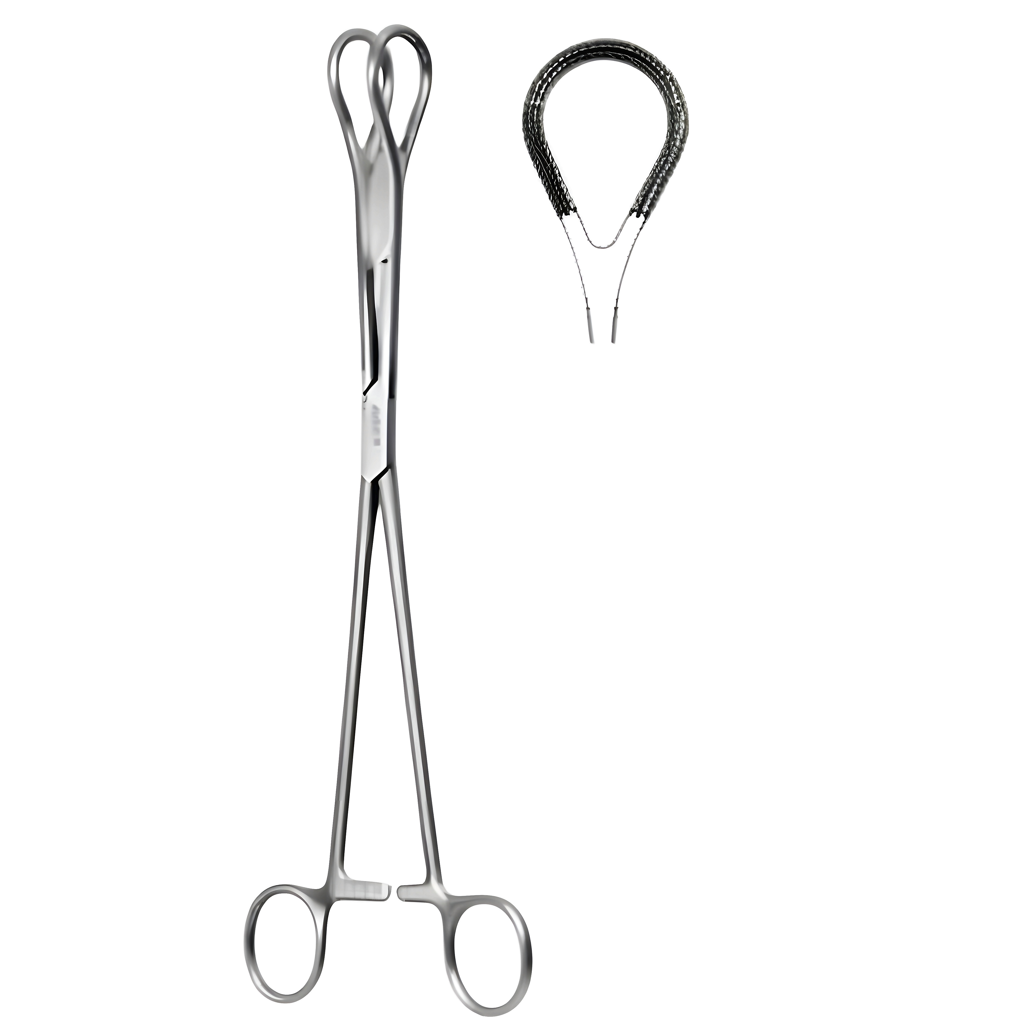Tissue and Organ Holding Fcps Atrauma 25cm