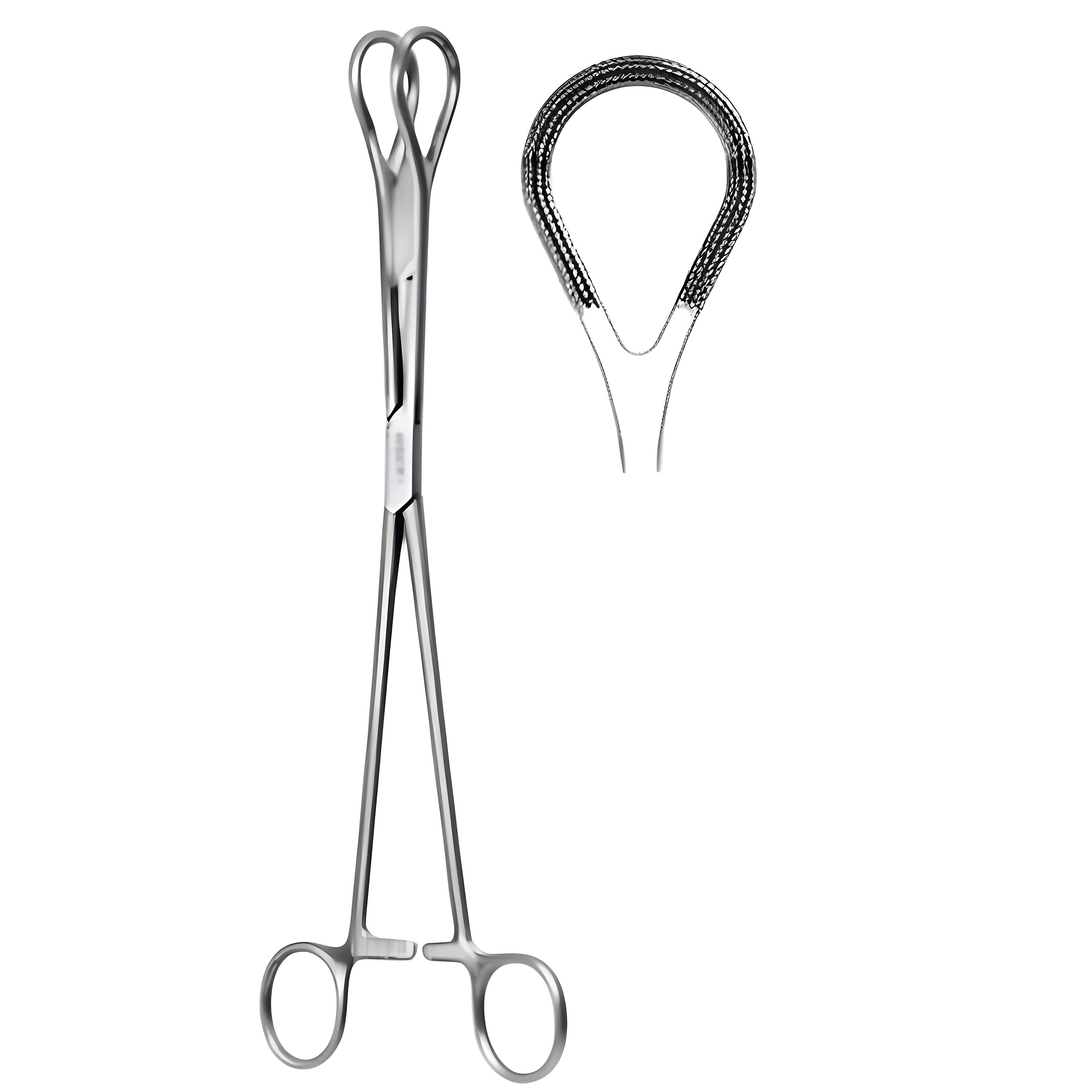 Tissue and Organ Holding Fcps Atrauma 26cm