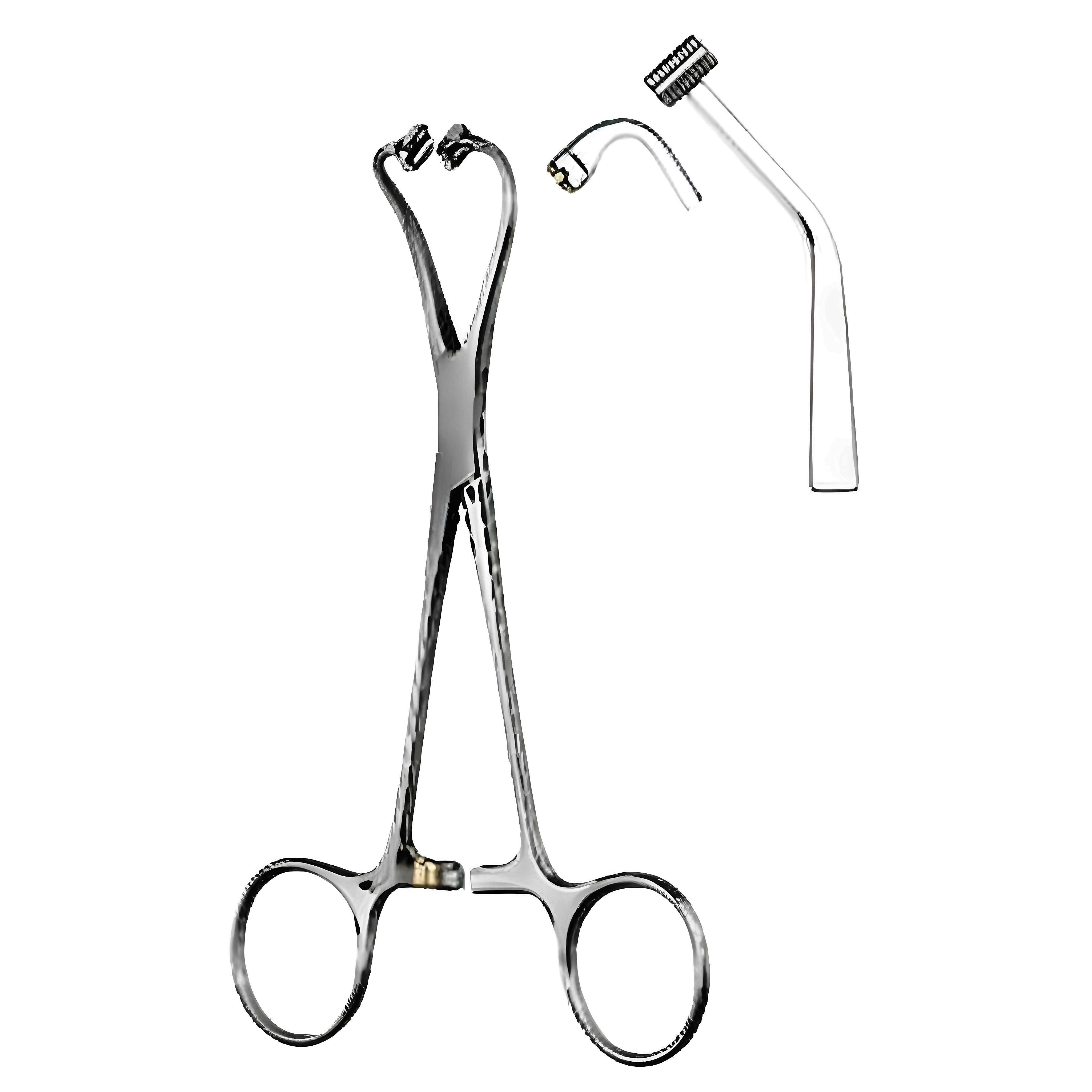 Peers Bertram Non-perf. Towel Clamp 14.5cm
