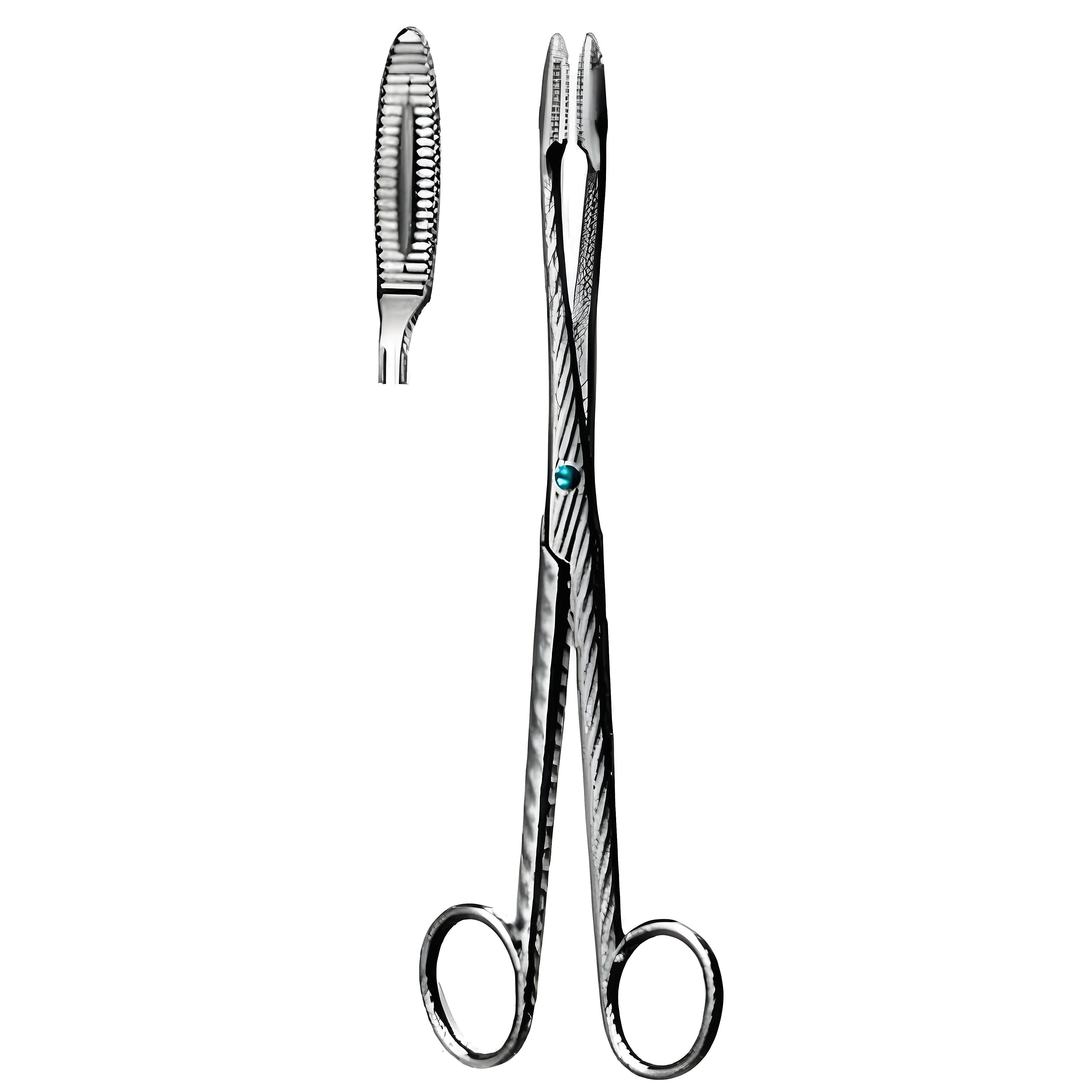 Gross Maier Dressing Fcps str S/J 16cm