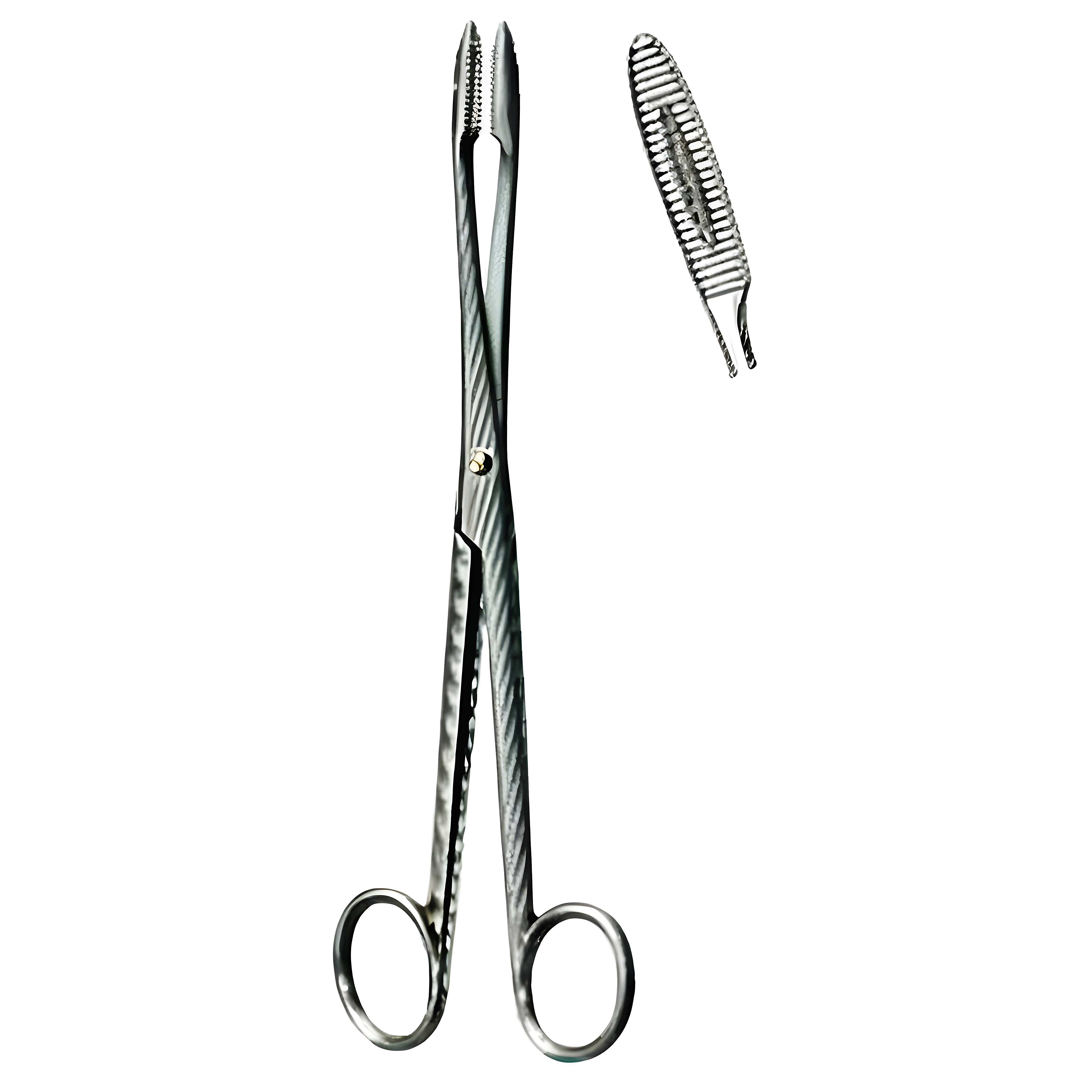 Gross Maier Dressing Fcps cvd S/J 20cm