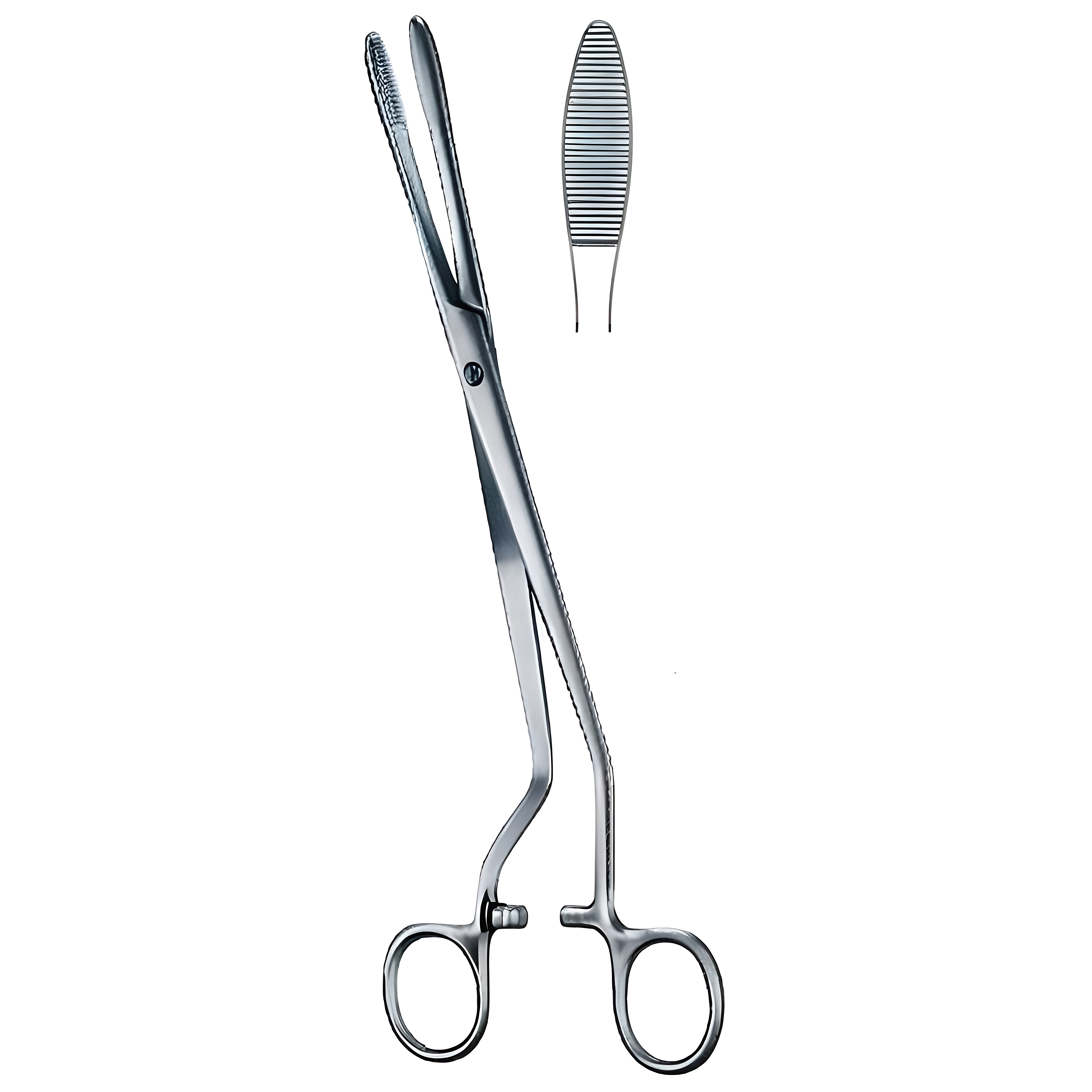 Cheron Dressing Fcps S/J 25cm
