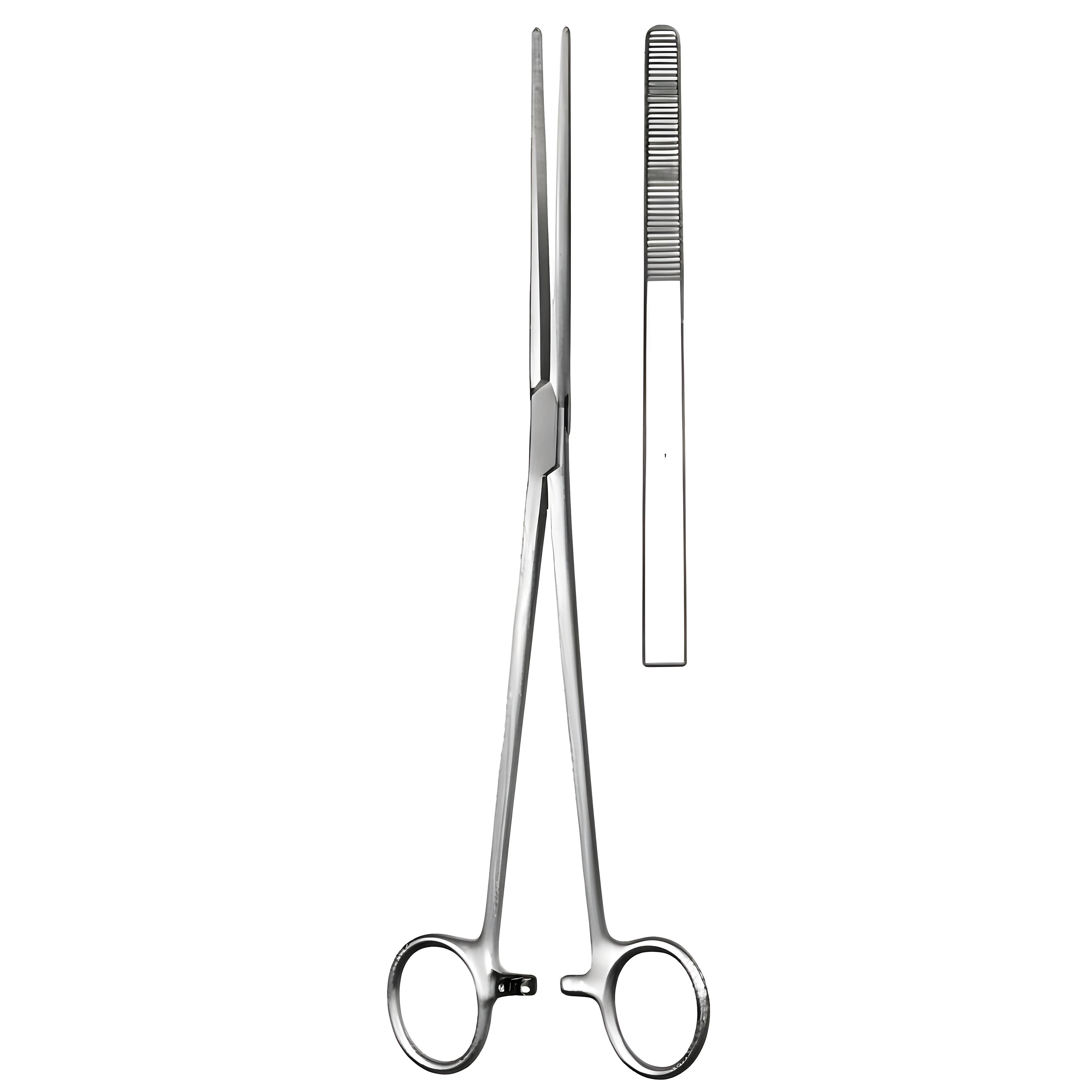 Bozemann Dressing Fcps str 26cm