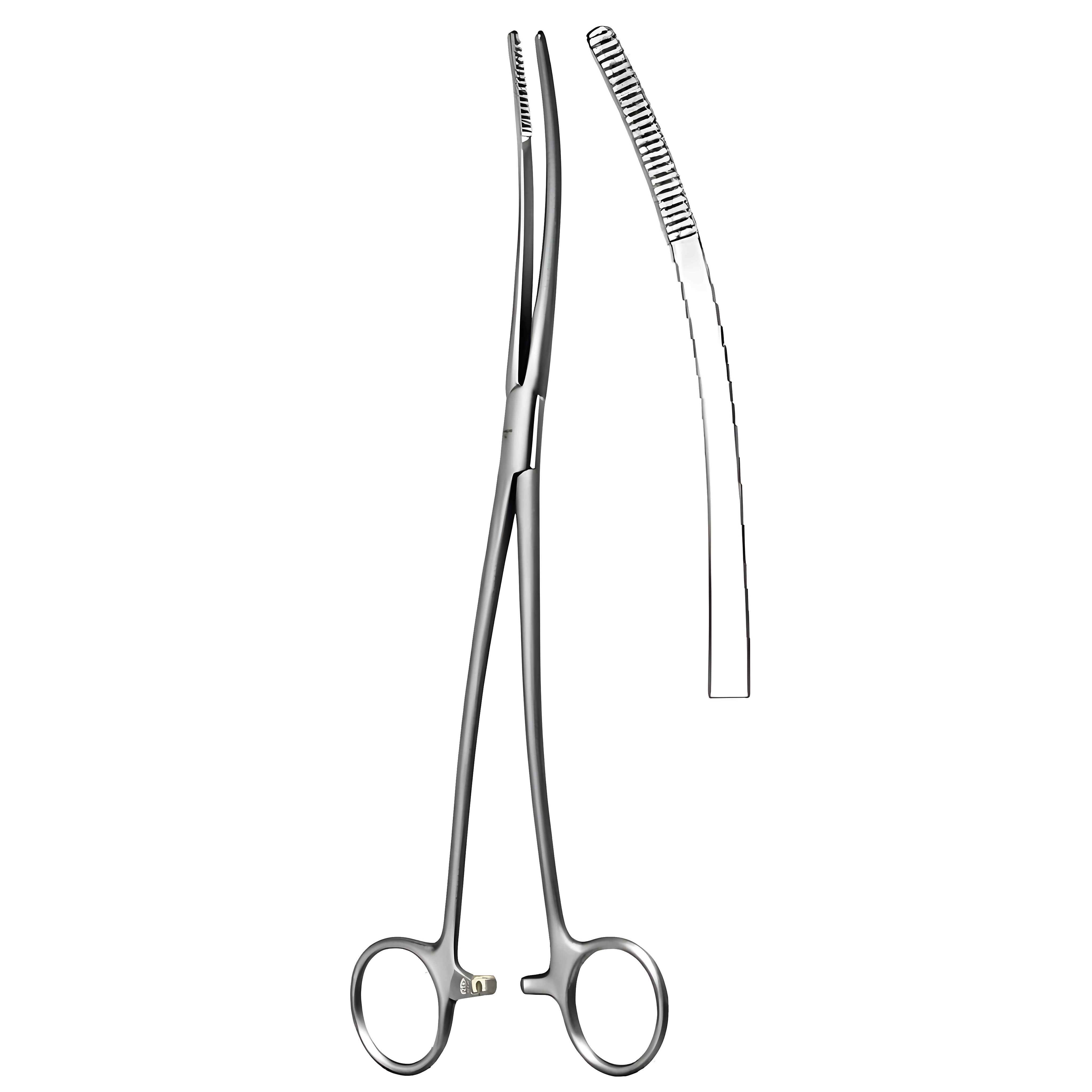 Bozemann Dressing Fcps `S' cvd 26cm