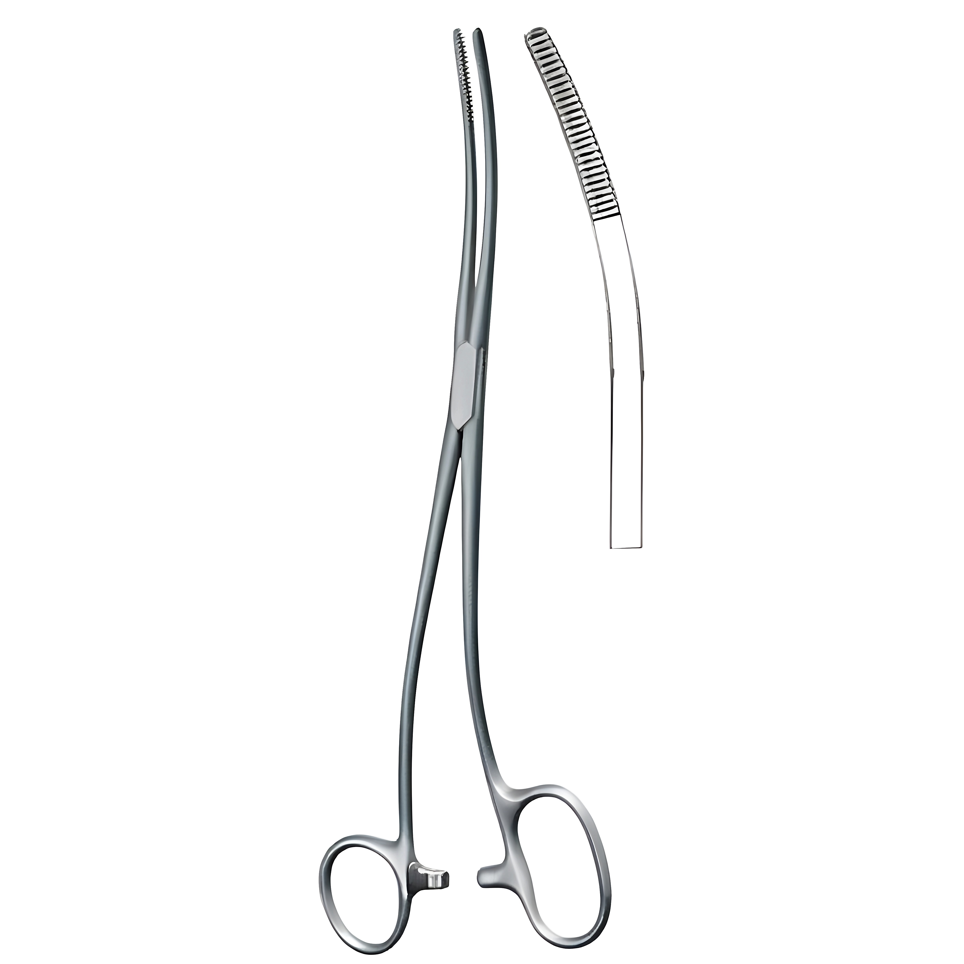Bozemann Douglas Dressing Fcps`S'cvd 26cm