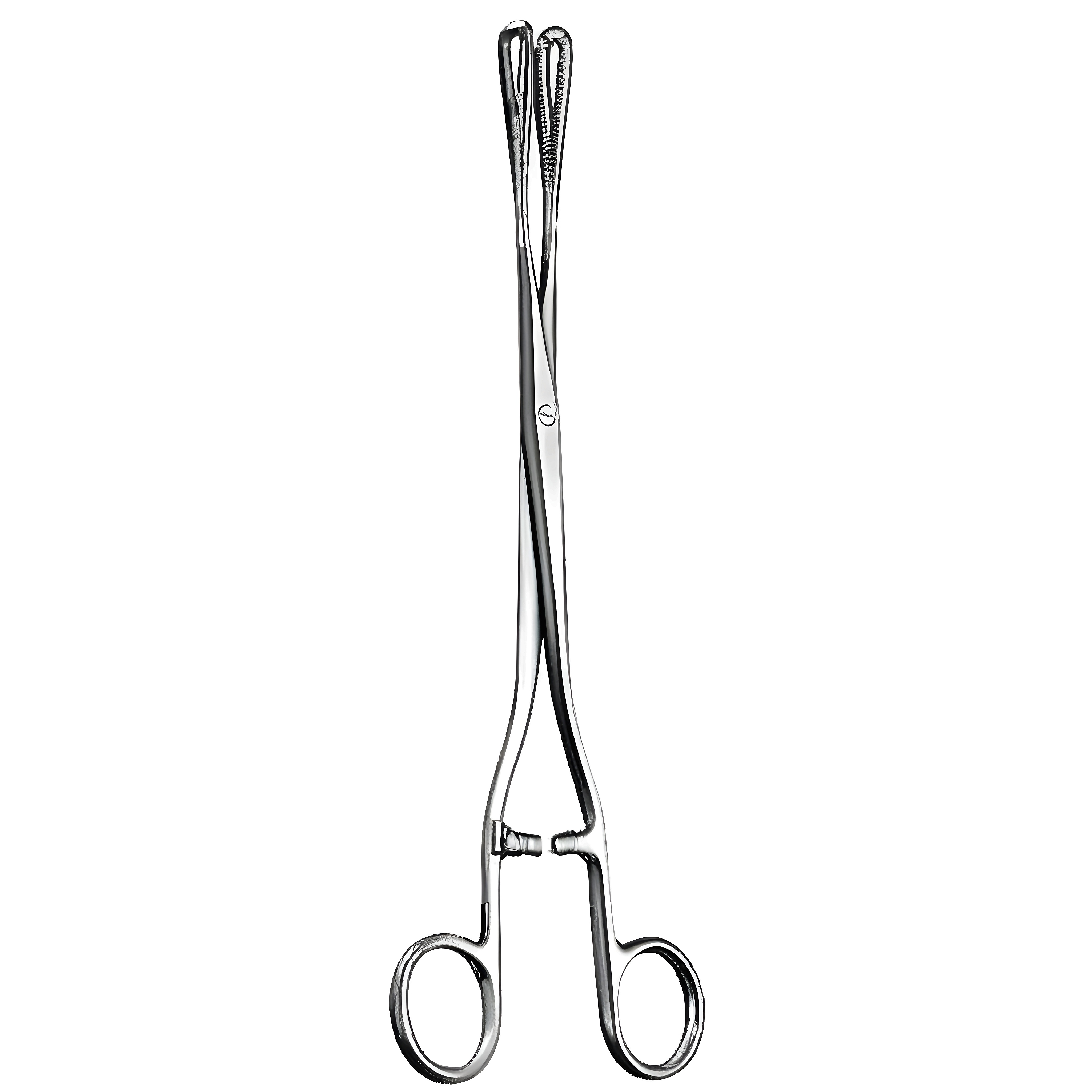 Rampley Sponge Holding Fcps S/J 18cm