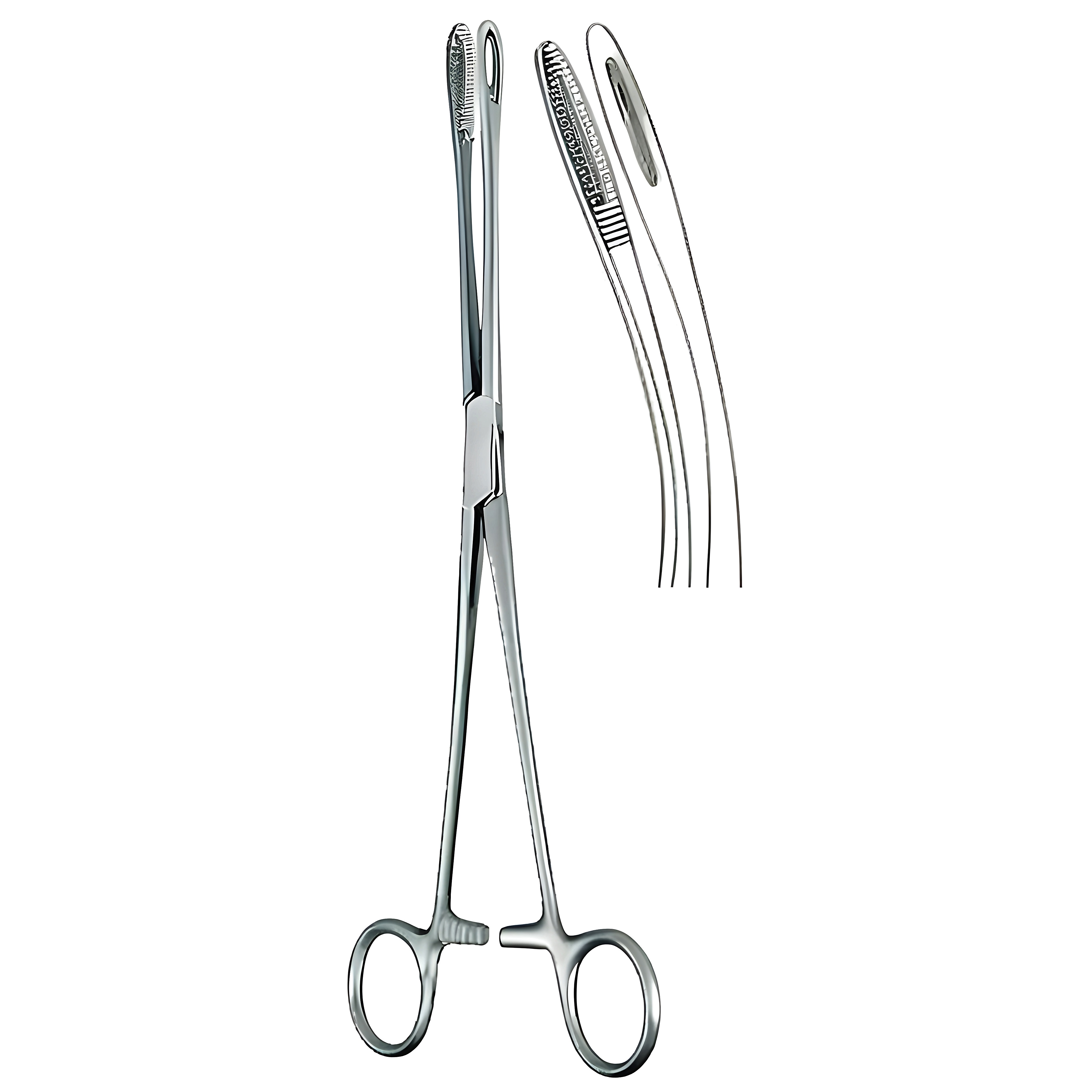 Foerster Swab Fcps Narrow cvd 25cm