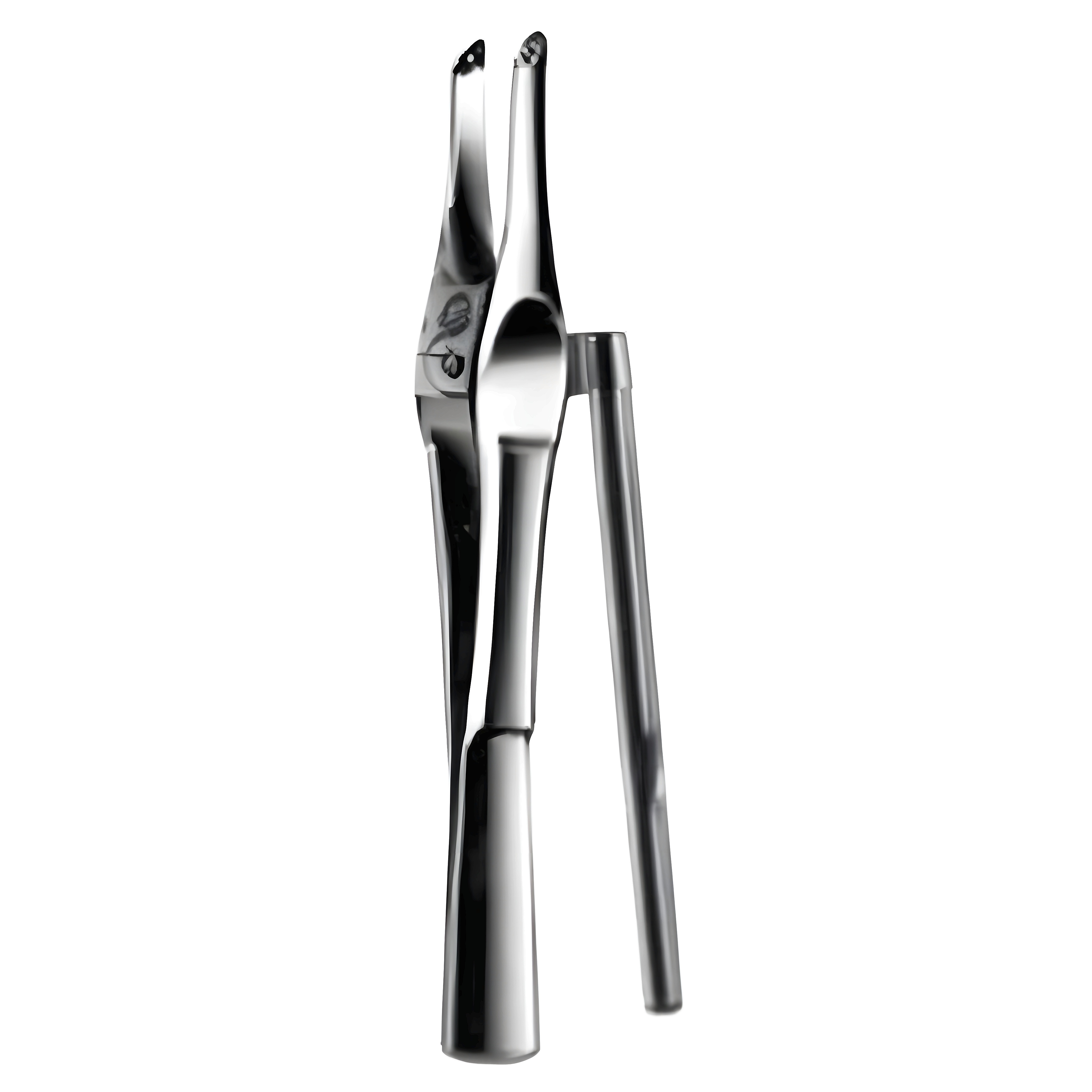 Wachenfeldt Suture Fcps w/Rack 12cm