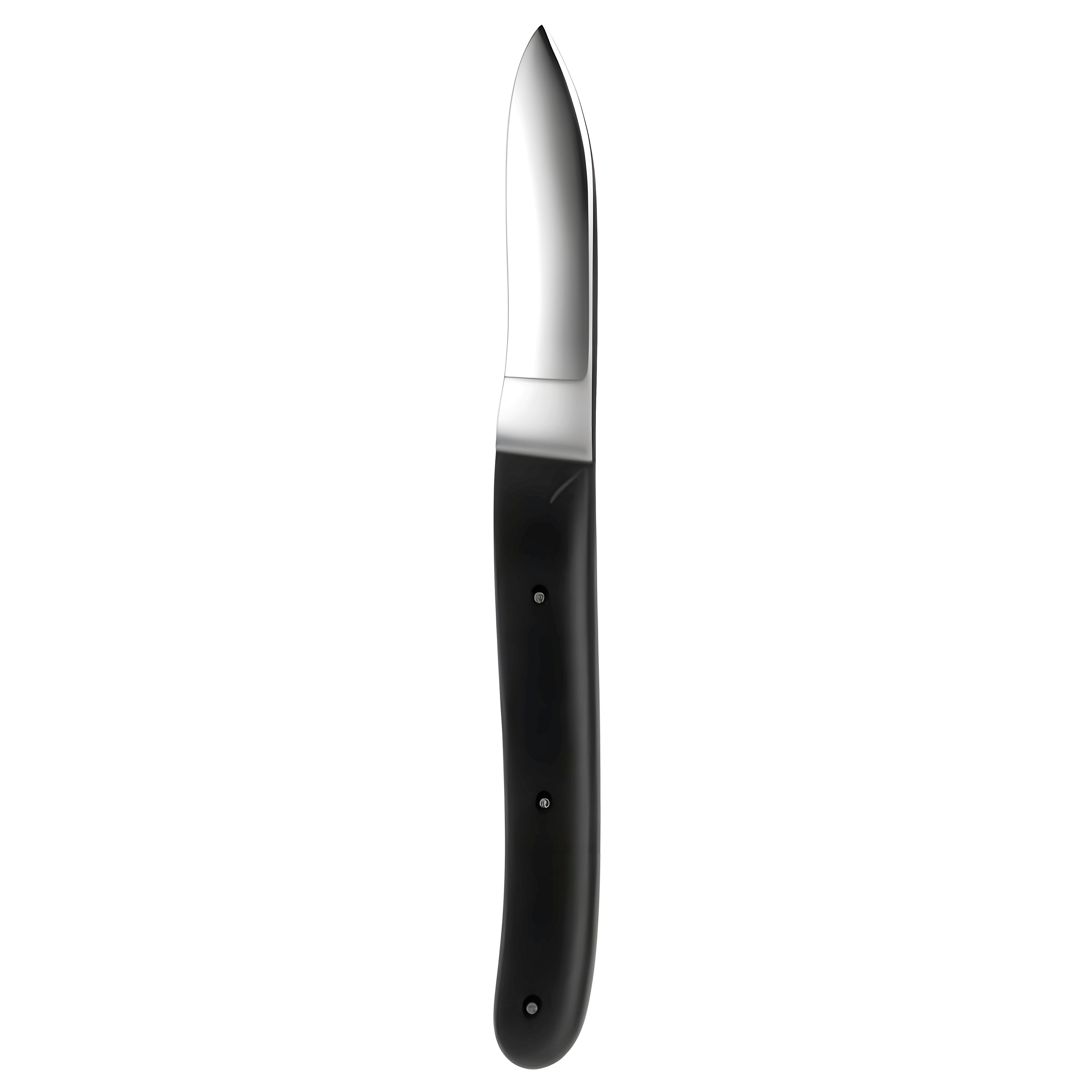 Hopkins Plaster Knife w/plastic handle 20cm