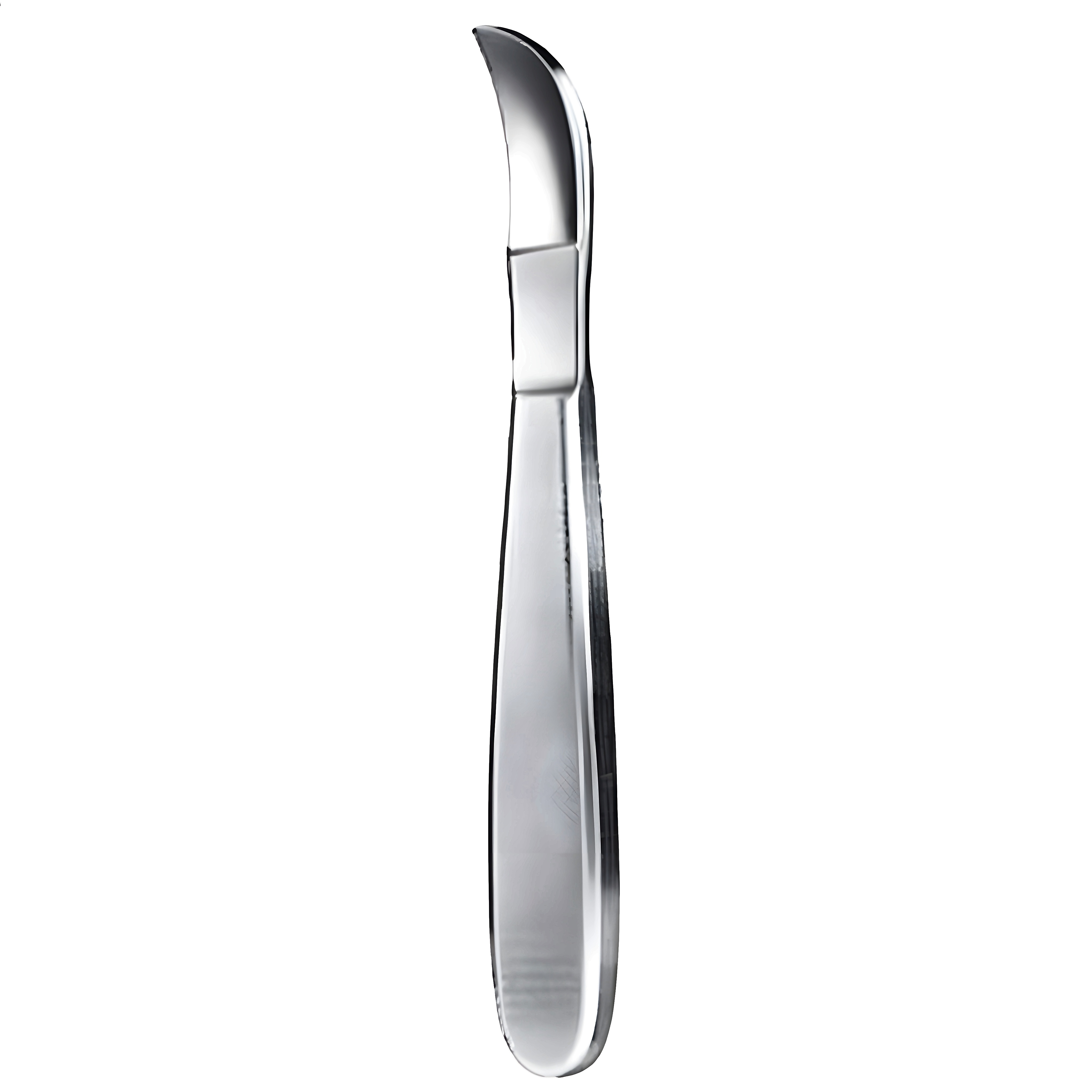 Reiner Plaster Knife 18cm