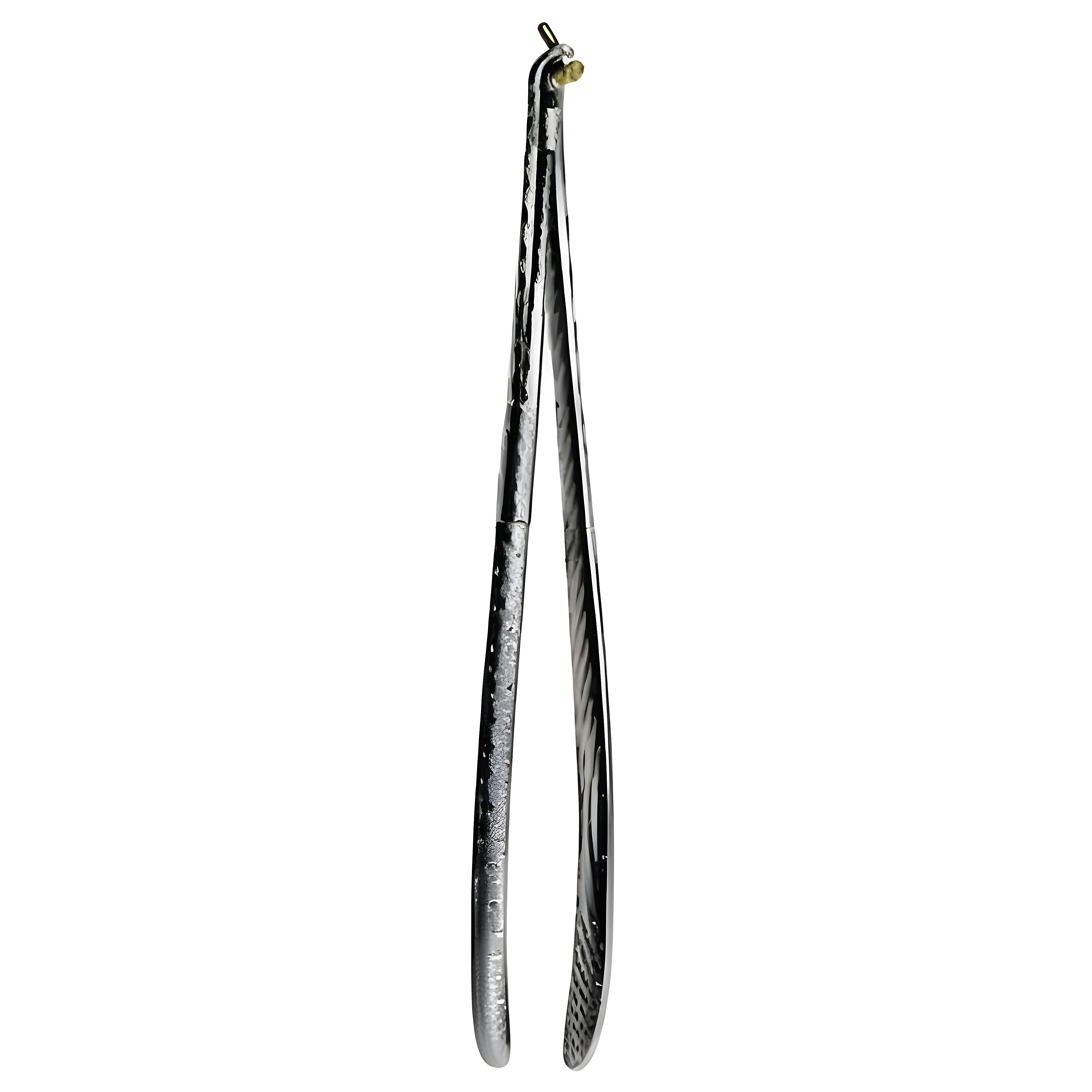 Lane Bone Screws Holding Fcps 23cm
