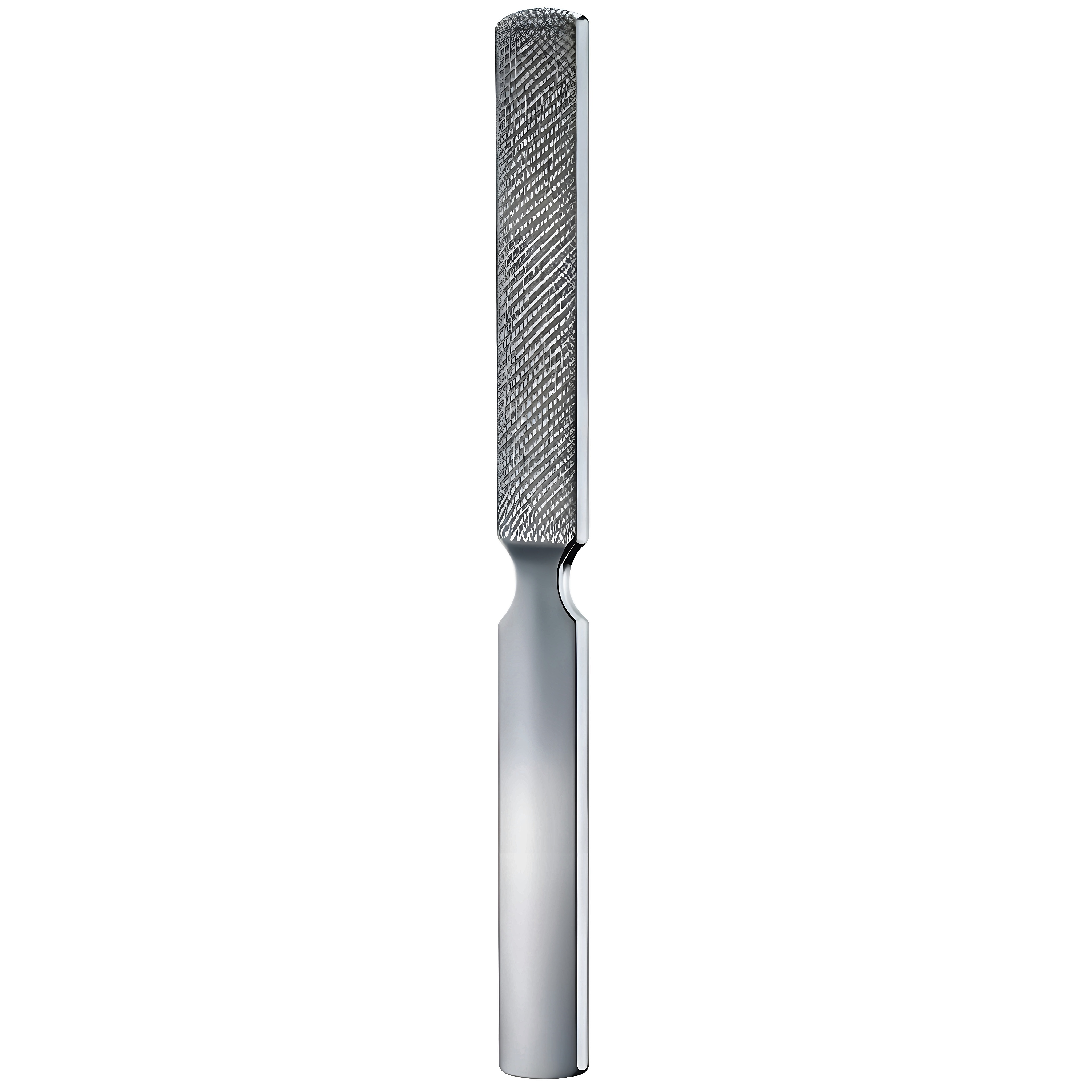 Bone File and Rasp 20mm, 22cm