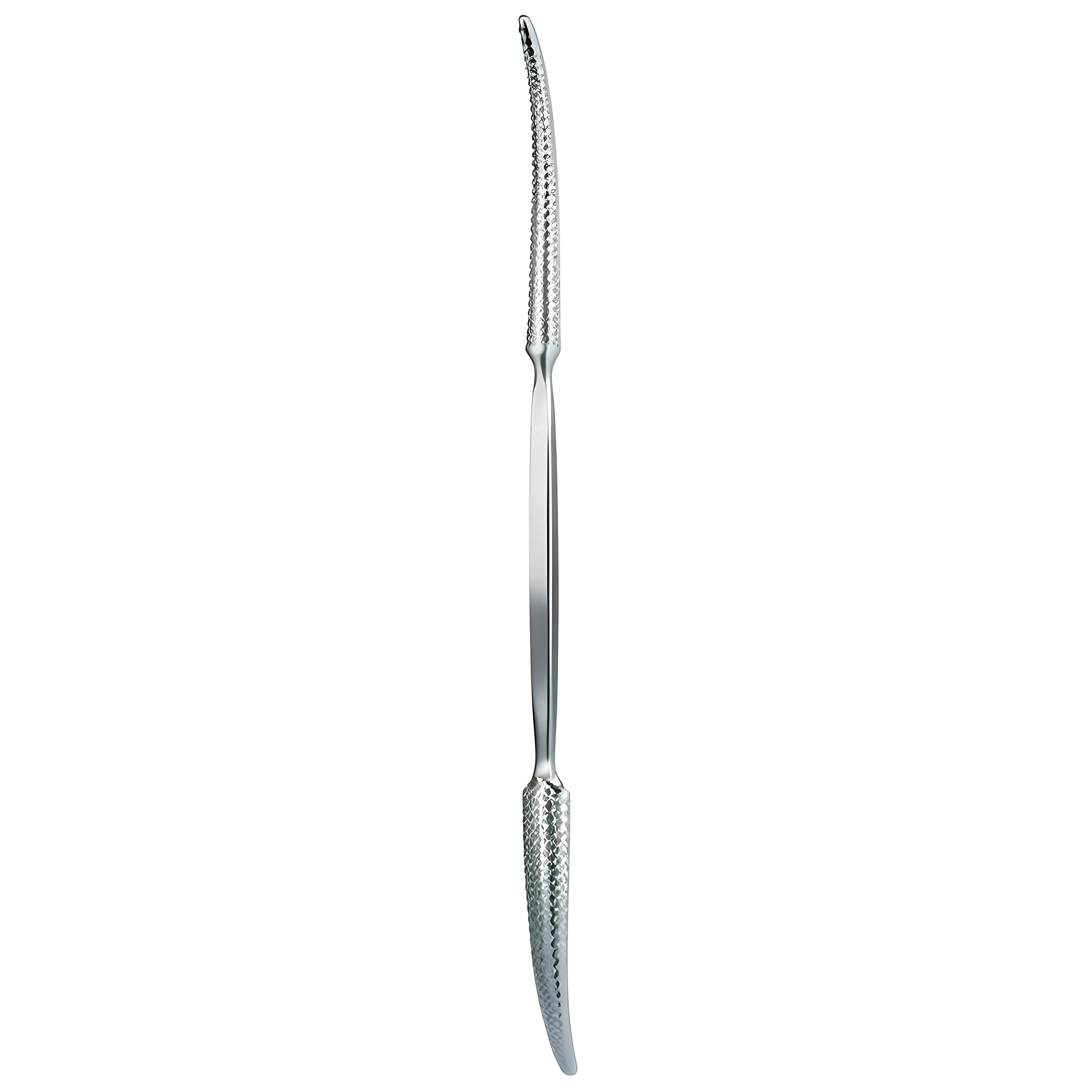 Putti Bone Rasp D/E 30cm