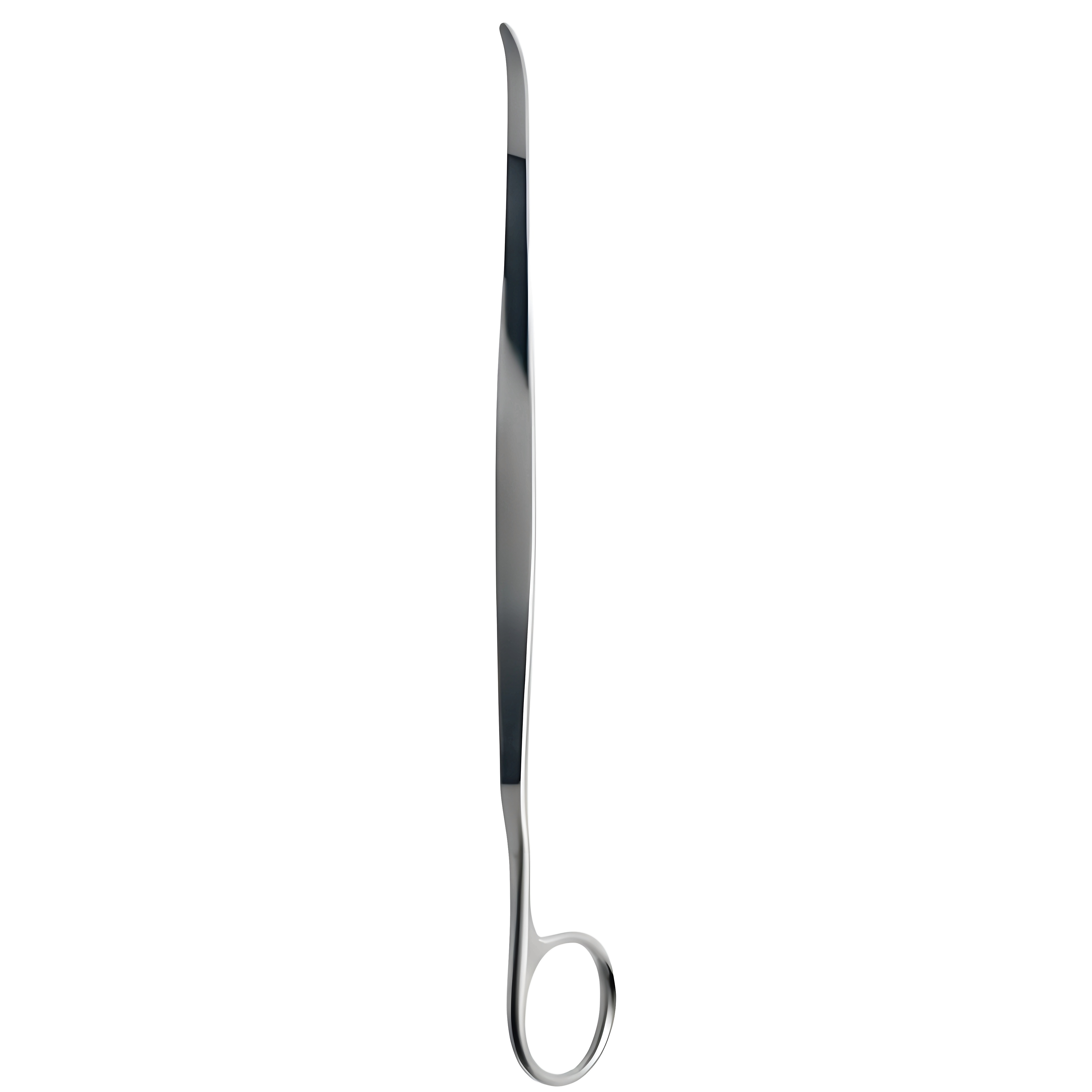 Lane Trethowan Bone Lever 21.5cm