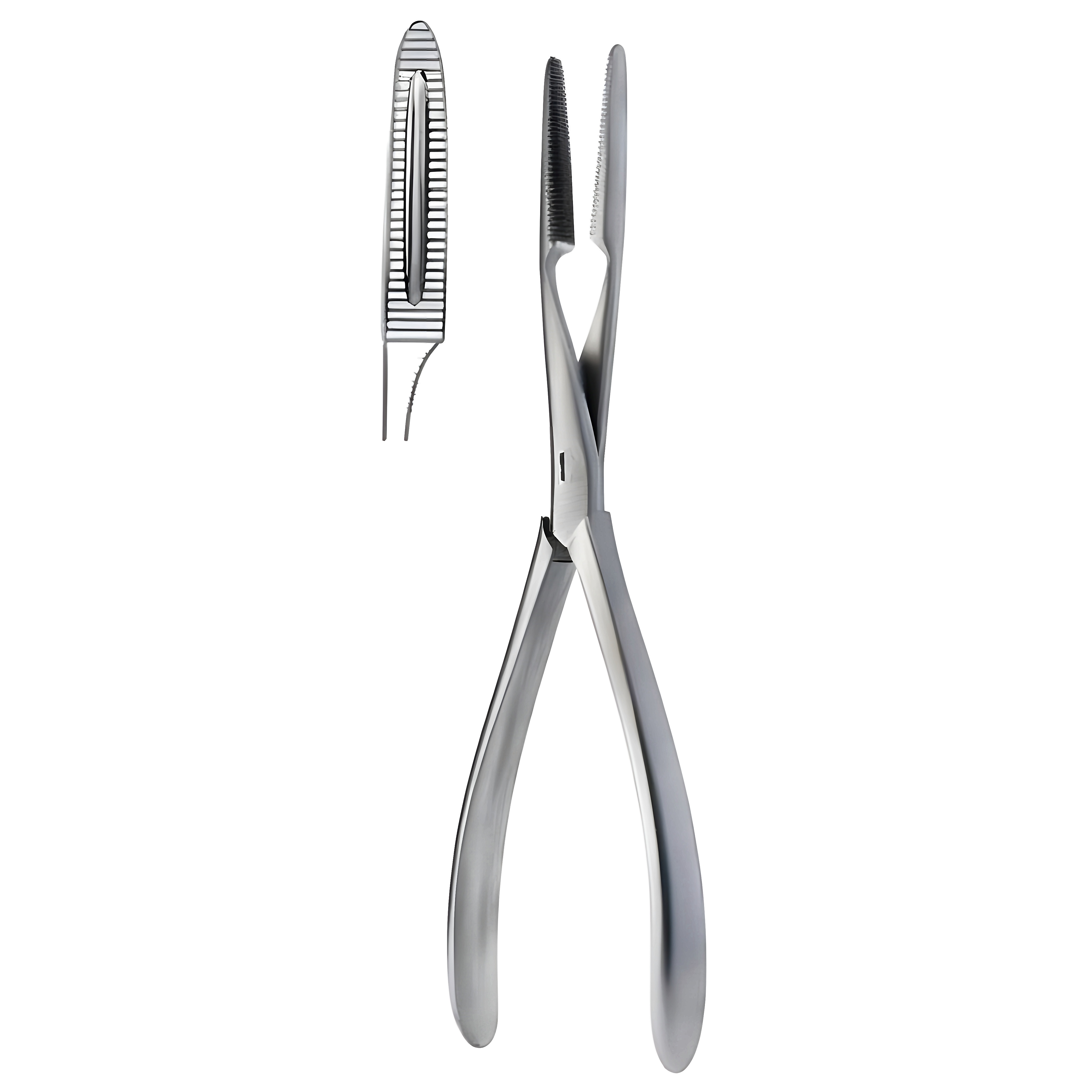 Sequestrum Fcps str 20cm