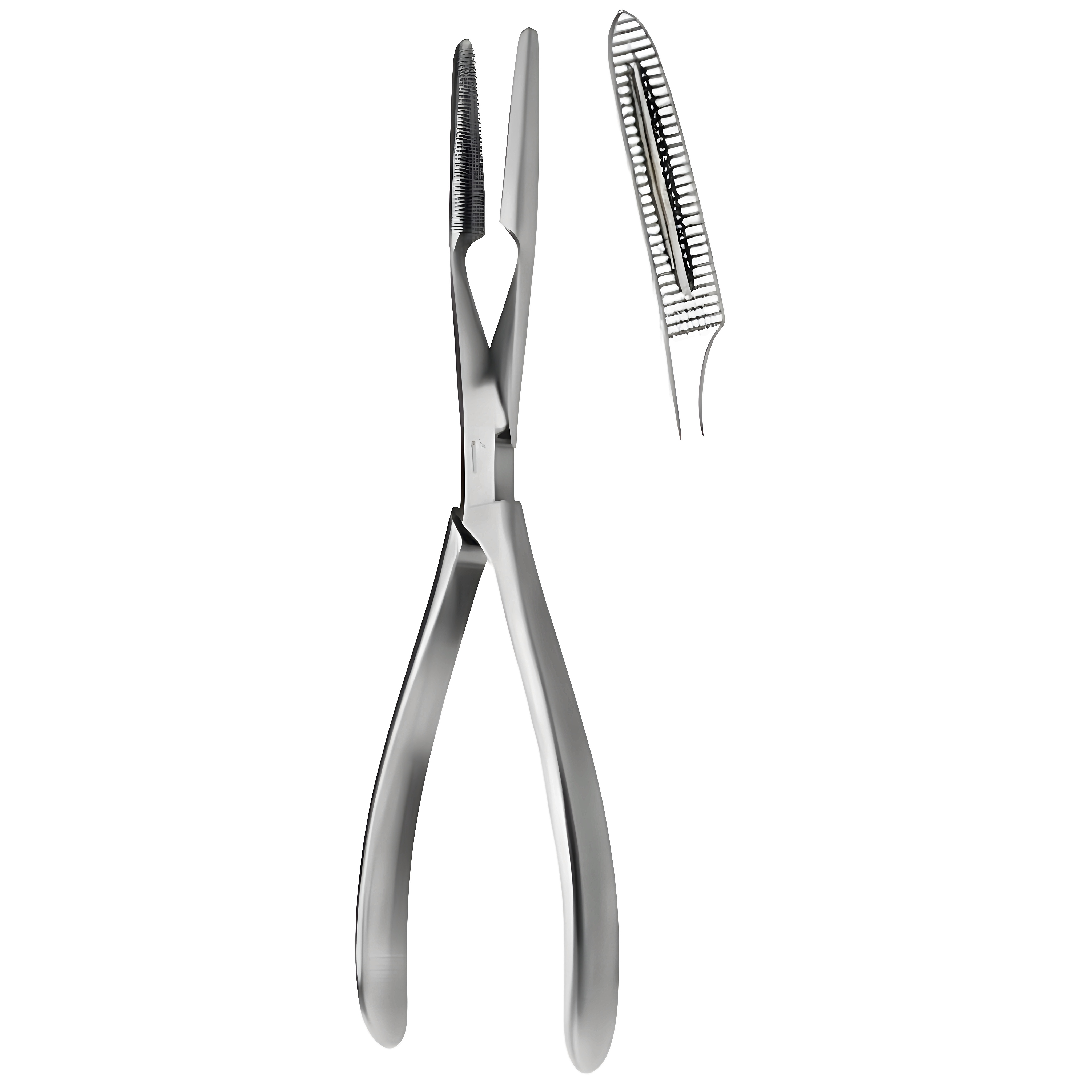 Sequestrum Fcps cvd 20cm