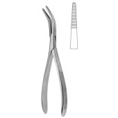 Van Buren Sequestrum Fcps 23cm