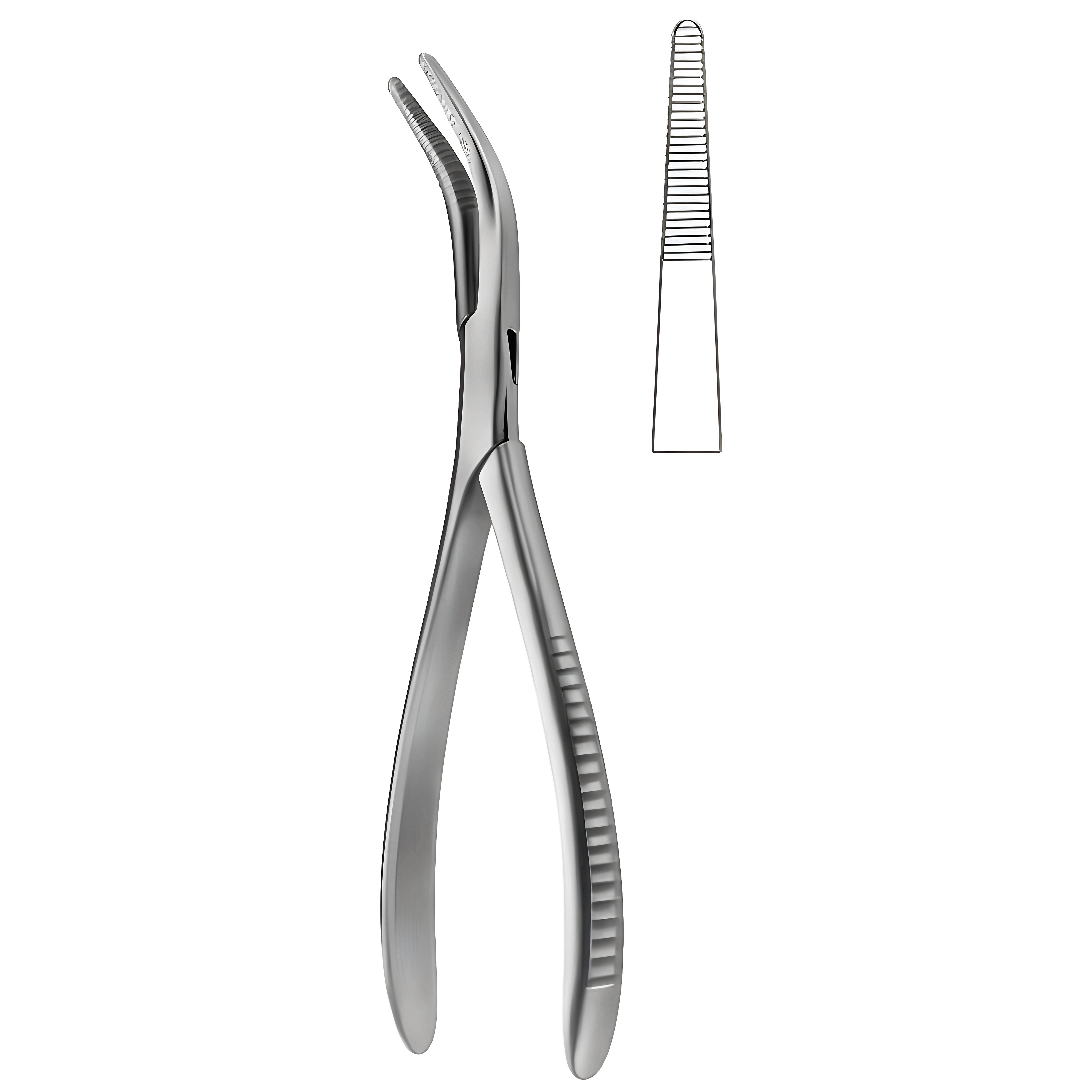 Van Buren Sequestrum Fcps 23cm