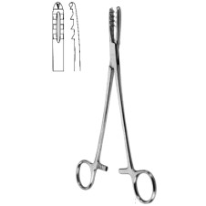 Bircher Ganske Bone Holding Fcps str 20cm