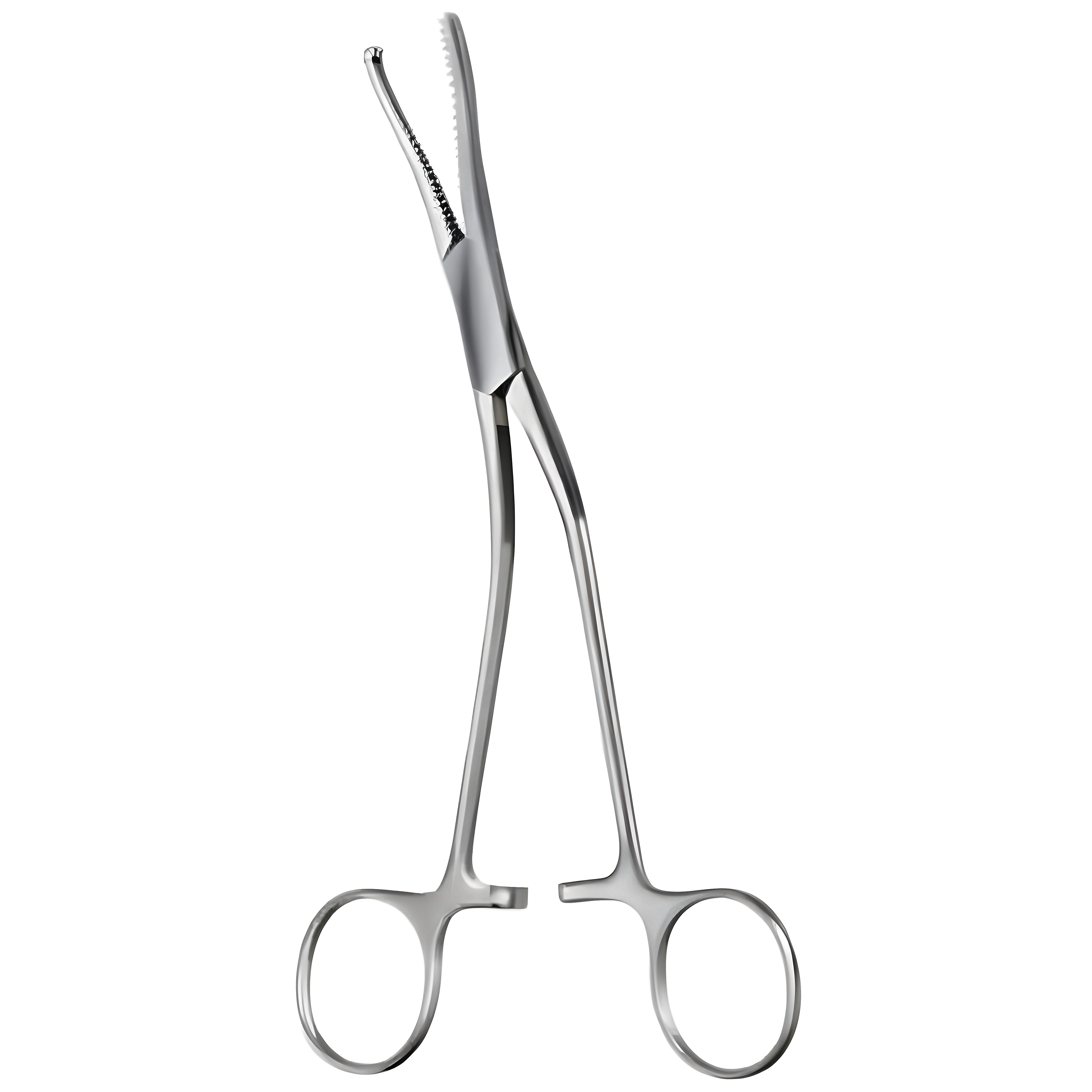 Dingmann Bone Holding Fcps 19cm